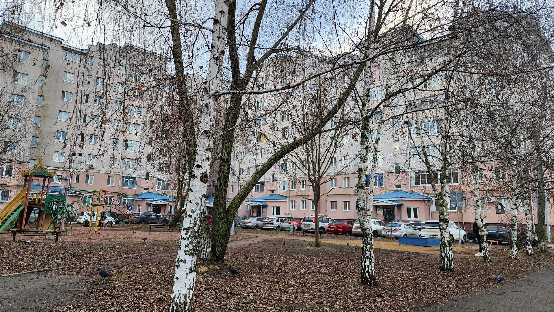 вертикалки, Бронницы, Выездная администрация, Вопросы жкх,