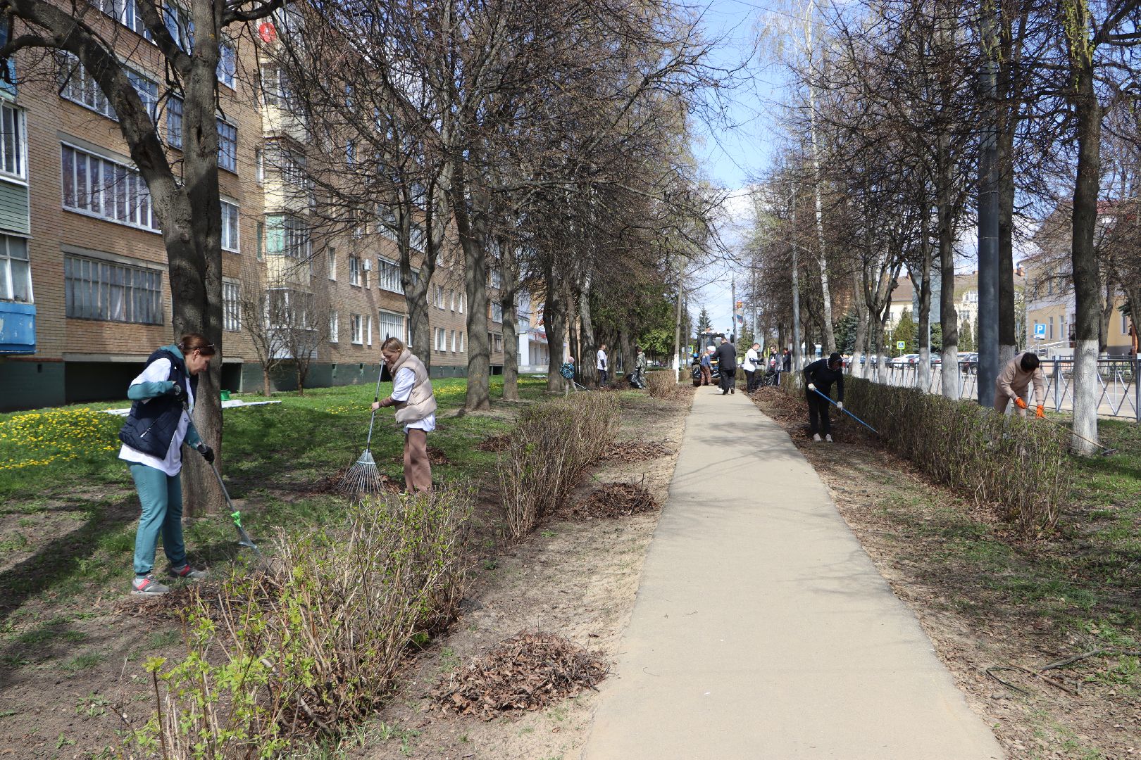 субботник, Серебряные Пруды, дети