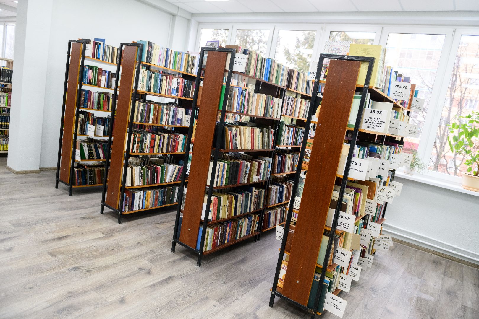 рум-тур, библиотека, лыткарино, культура, модельная библиотека,