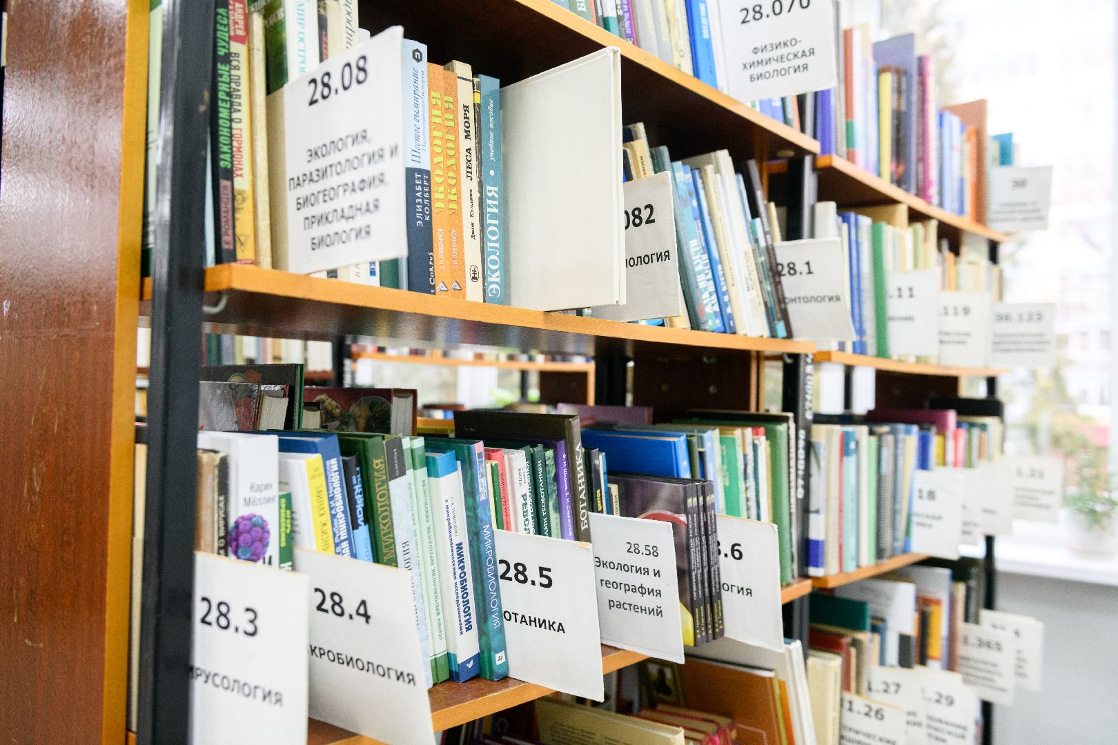 рум-тур, библиотека, лыткарино, культура, модельная библиотека,