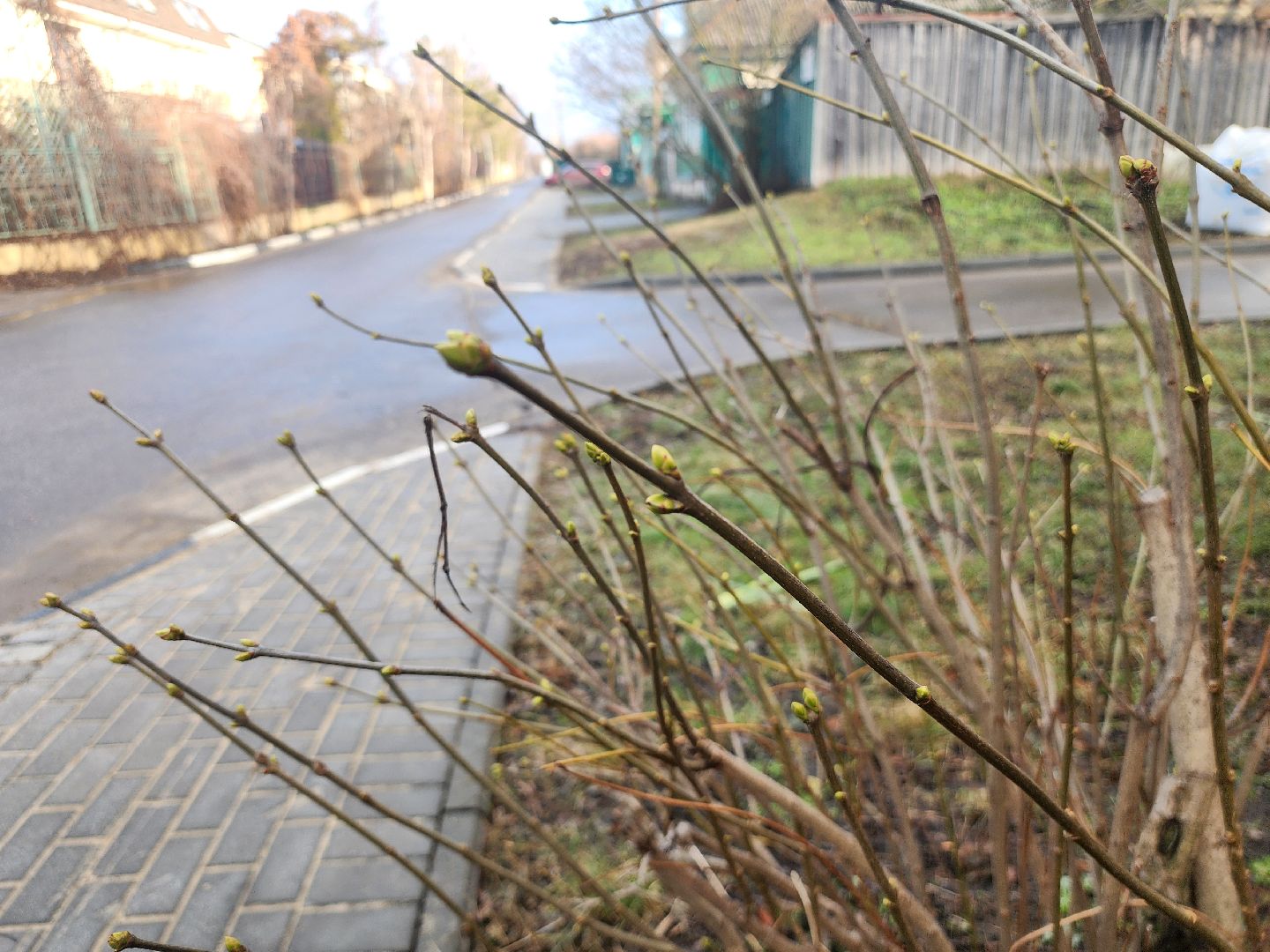 Коломна, погодная аномалия, погода,