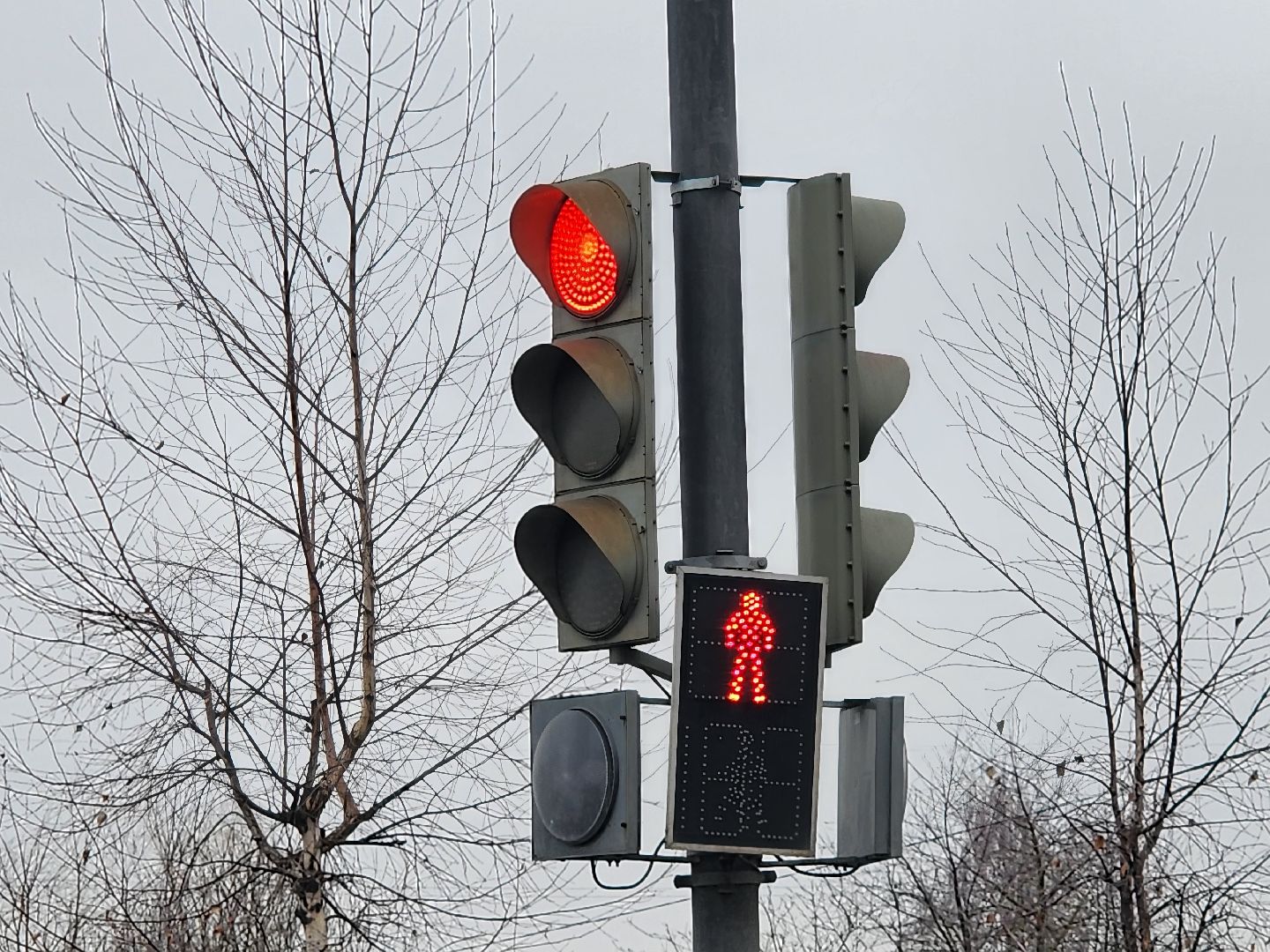 вертикалки, светофор, мытищи,