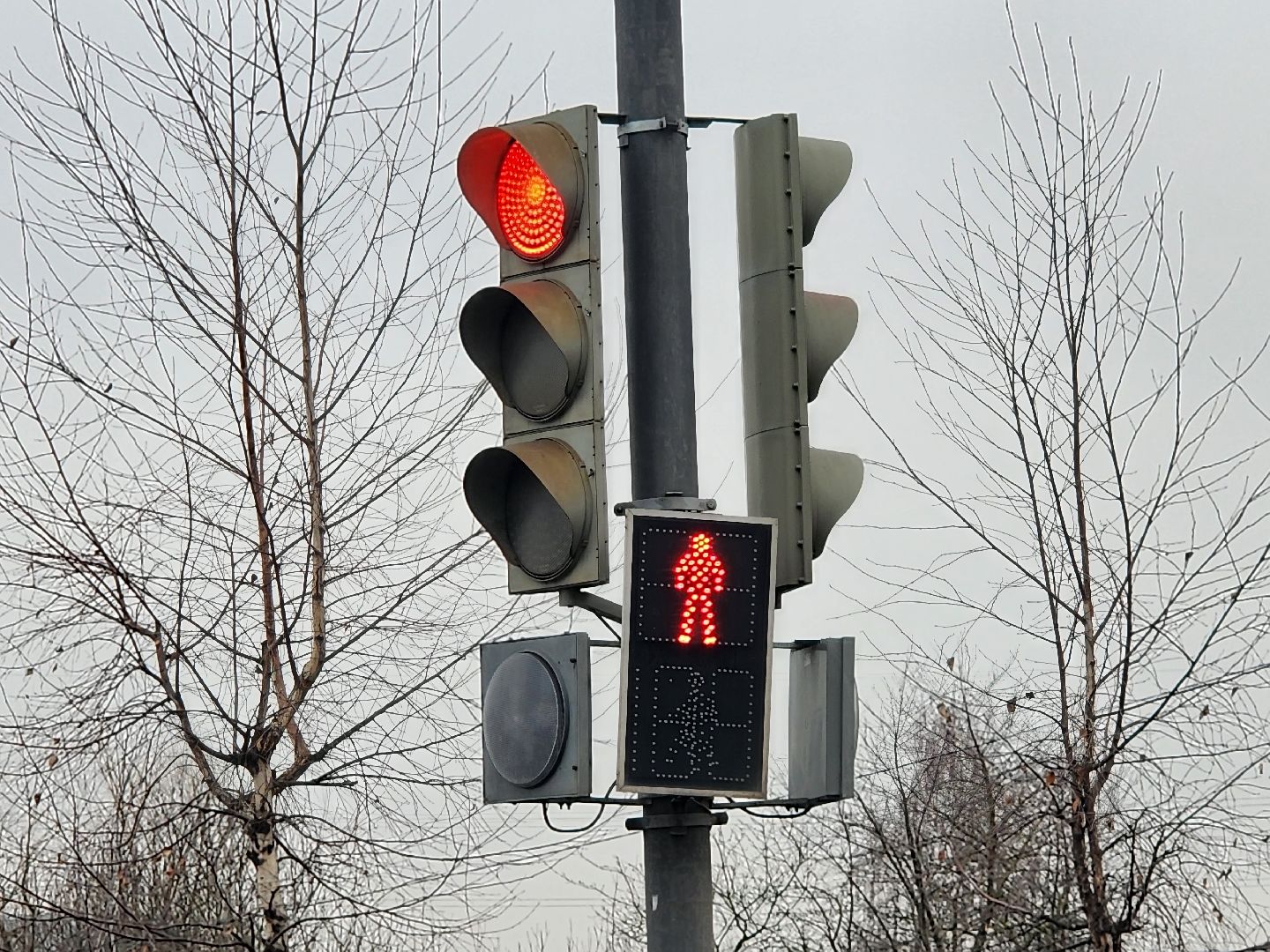 вертикалки, светофор, мытищи,