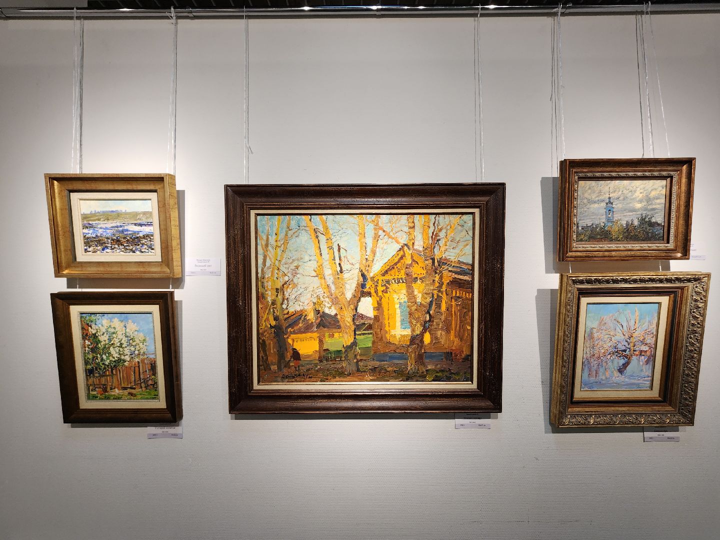 вертикалки, мытищи, мытищинская галерея искусств, культура,