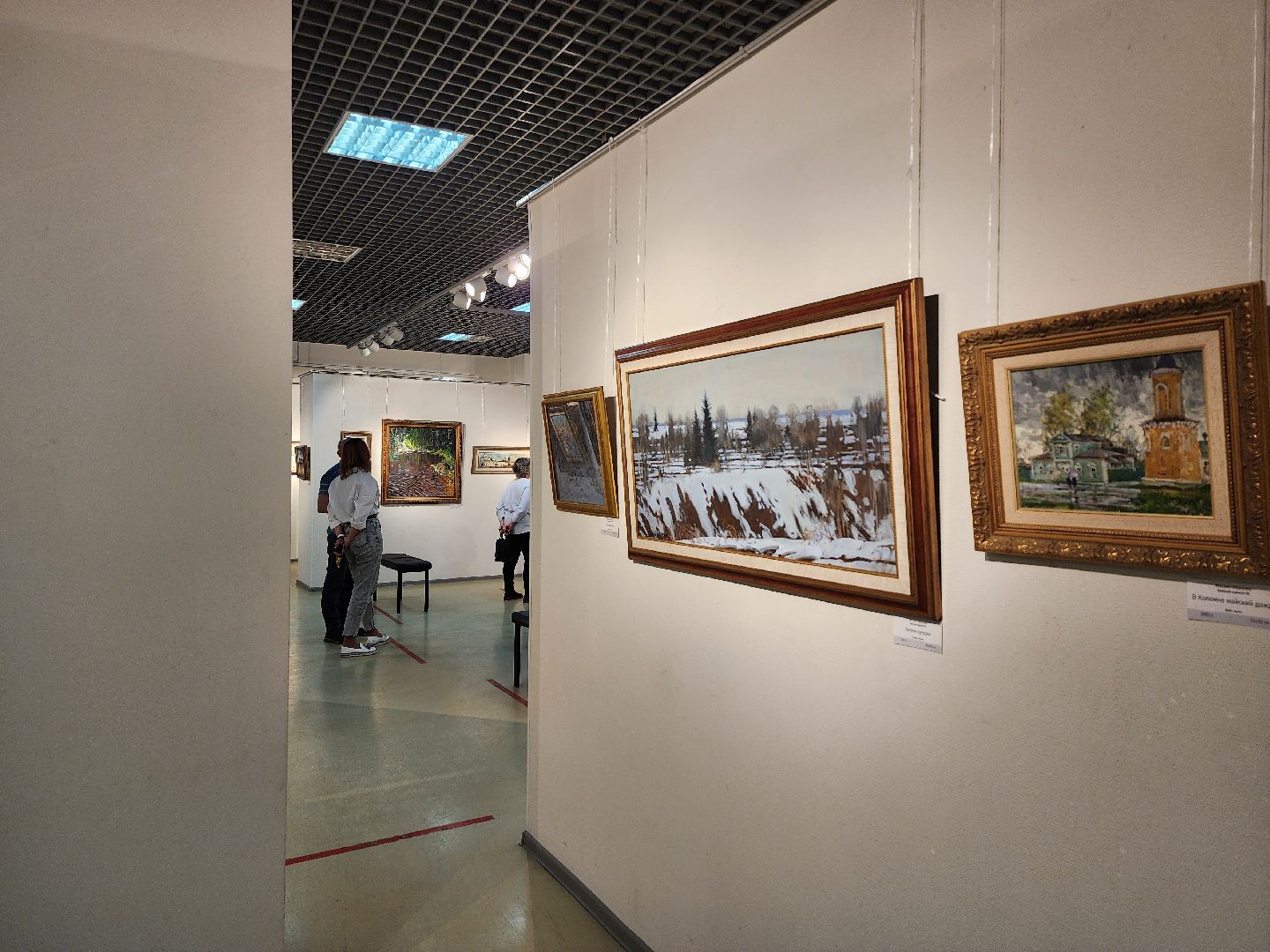 вертикалки, мытищи, мытищинская галерея искусств, культура,