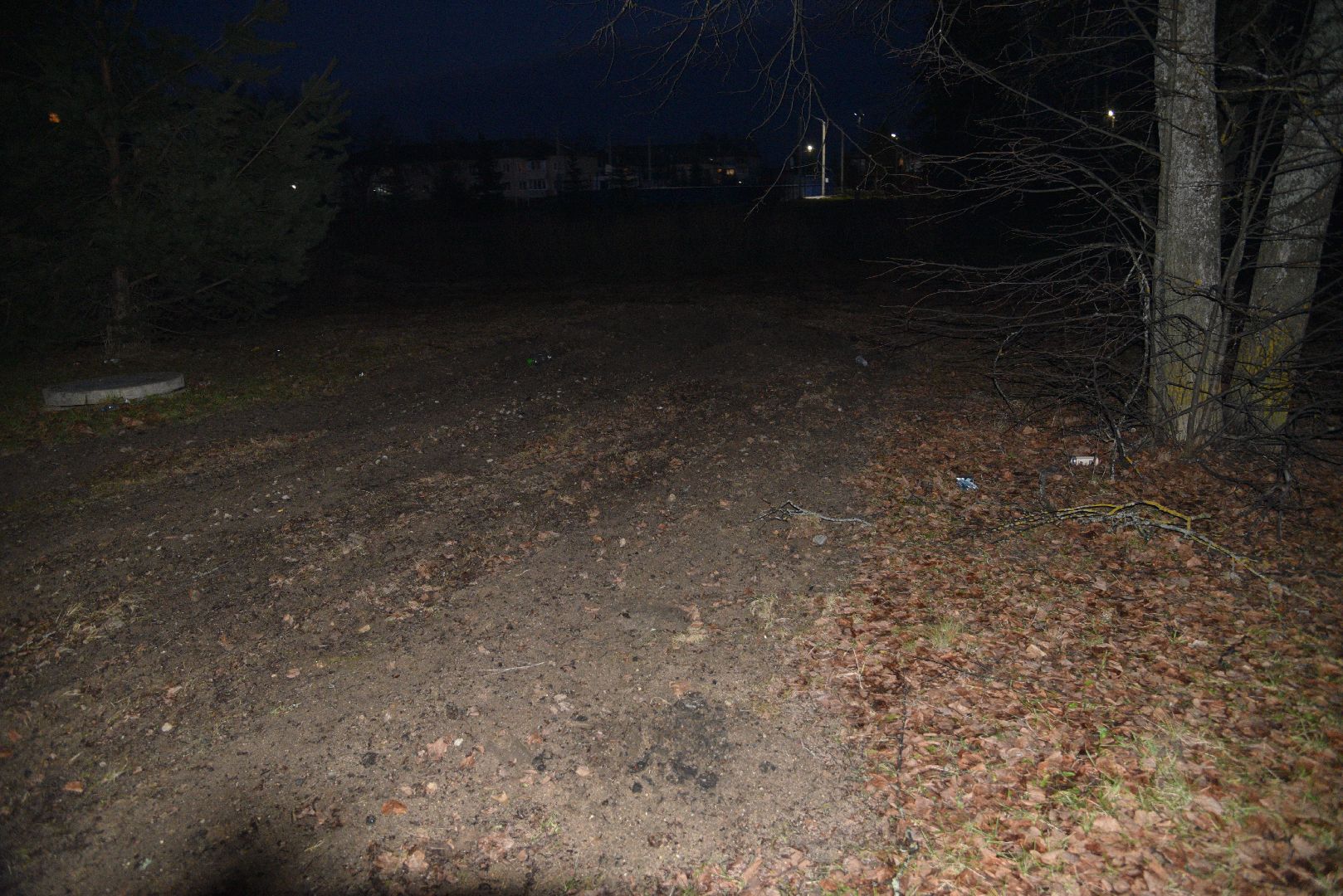 лотошино, микулино, выездная администрация, благоустройство, уборка мусора,