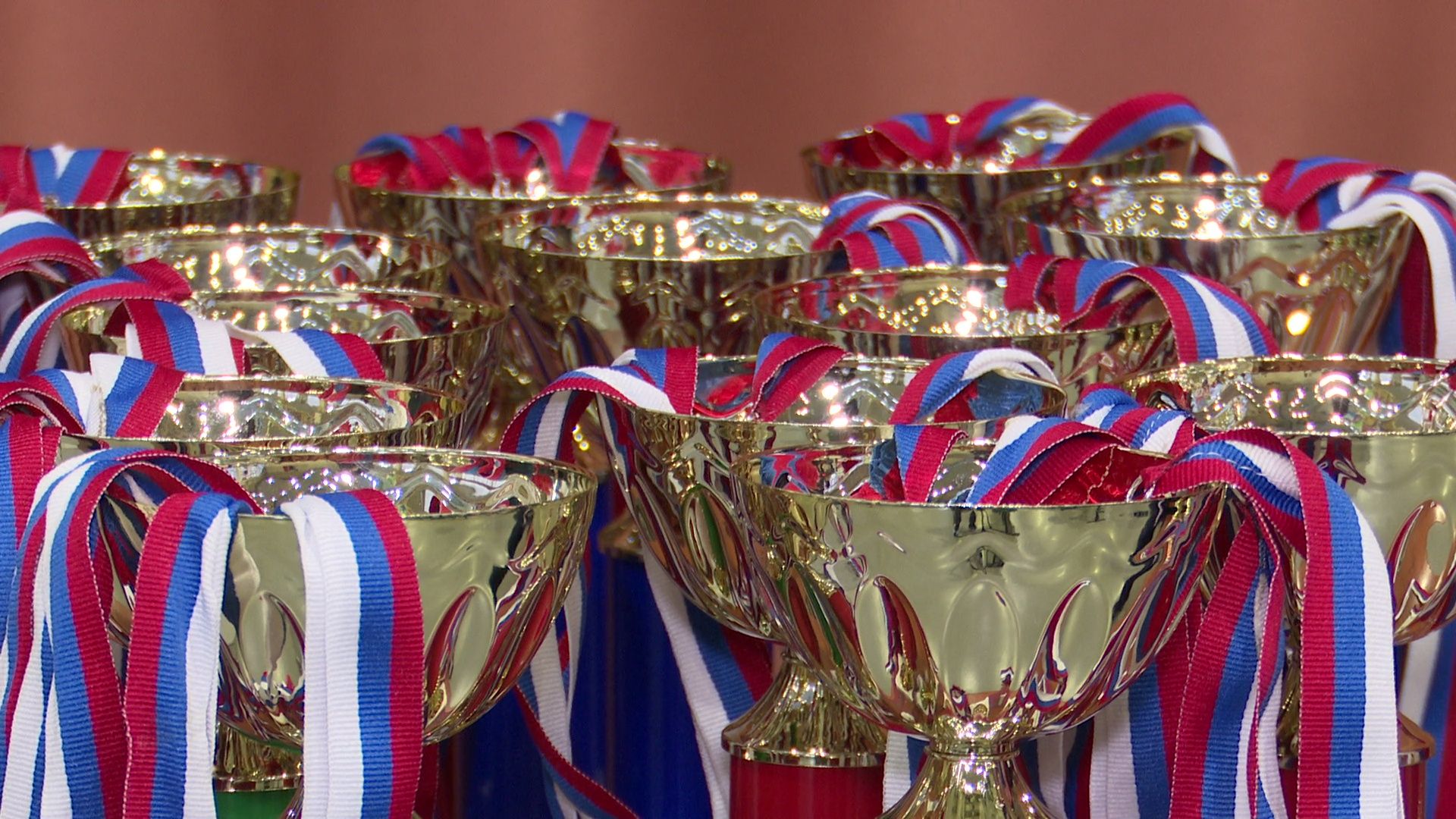 реутов, вертикалки, фок, самбо, соревнования, спорт,