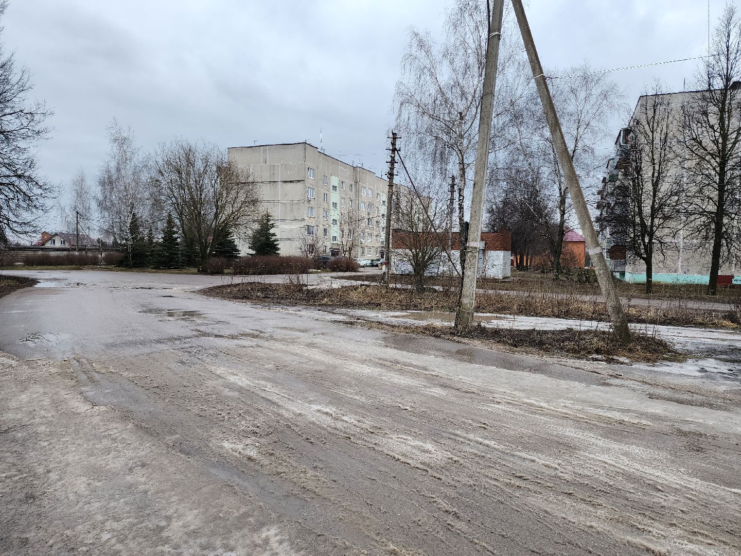 раменское, общество, выездная администрация, речицы,