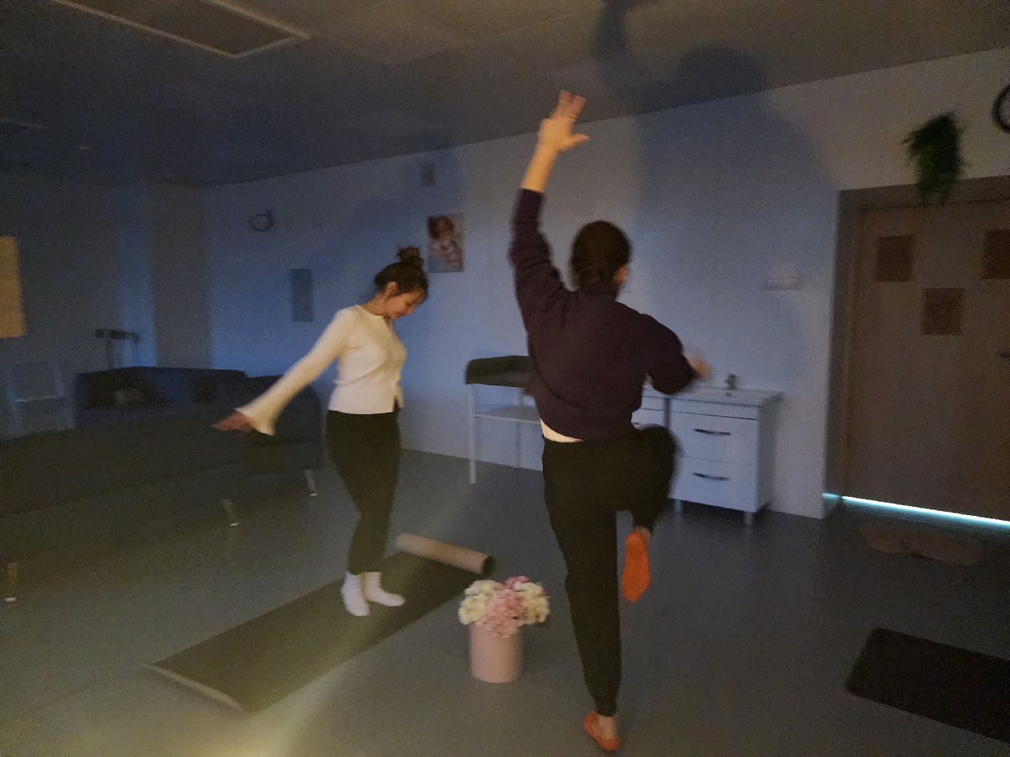 Танцы, Беременность, Истра, вертикалки,