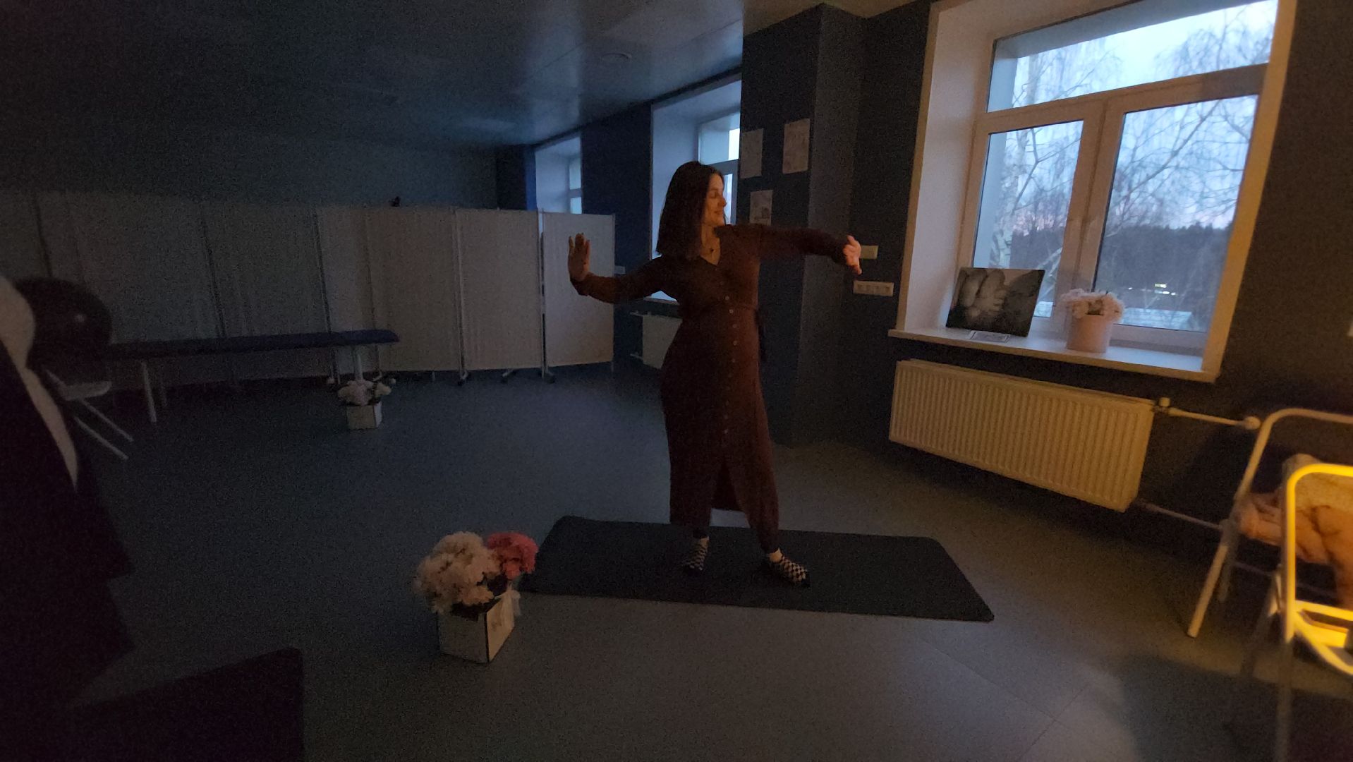 Танцы, Беременность, Истра, вертикалки,