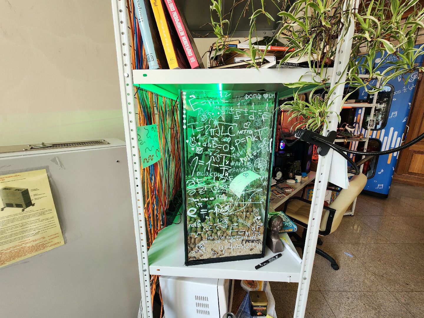 долгопрудный, мфти, Лаборатория Культура, медиаискусство, звуки солнца,