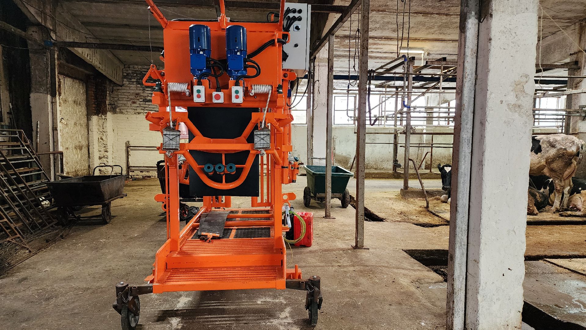 животноводство, животноводческое хозяйство, станок для обработки копыт, рабочий поселок Обухово, Богородский городской округ, вертикалки,