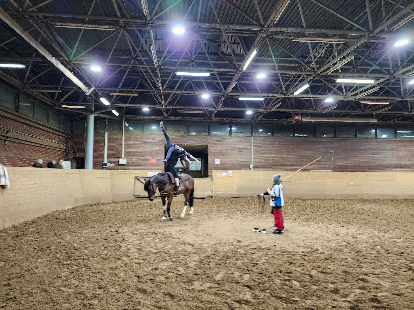 химки, конный спорт, вертикалка, животные,