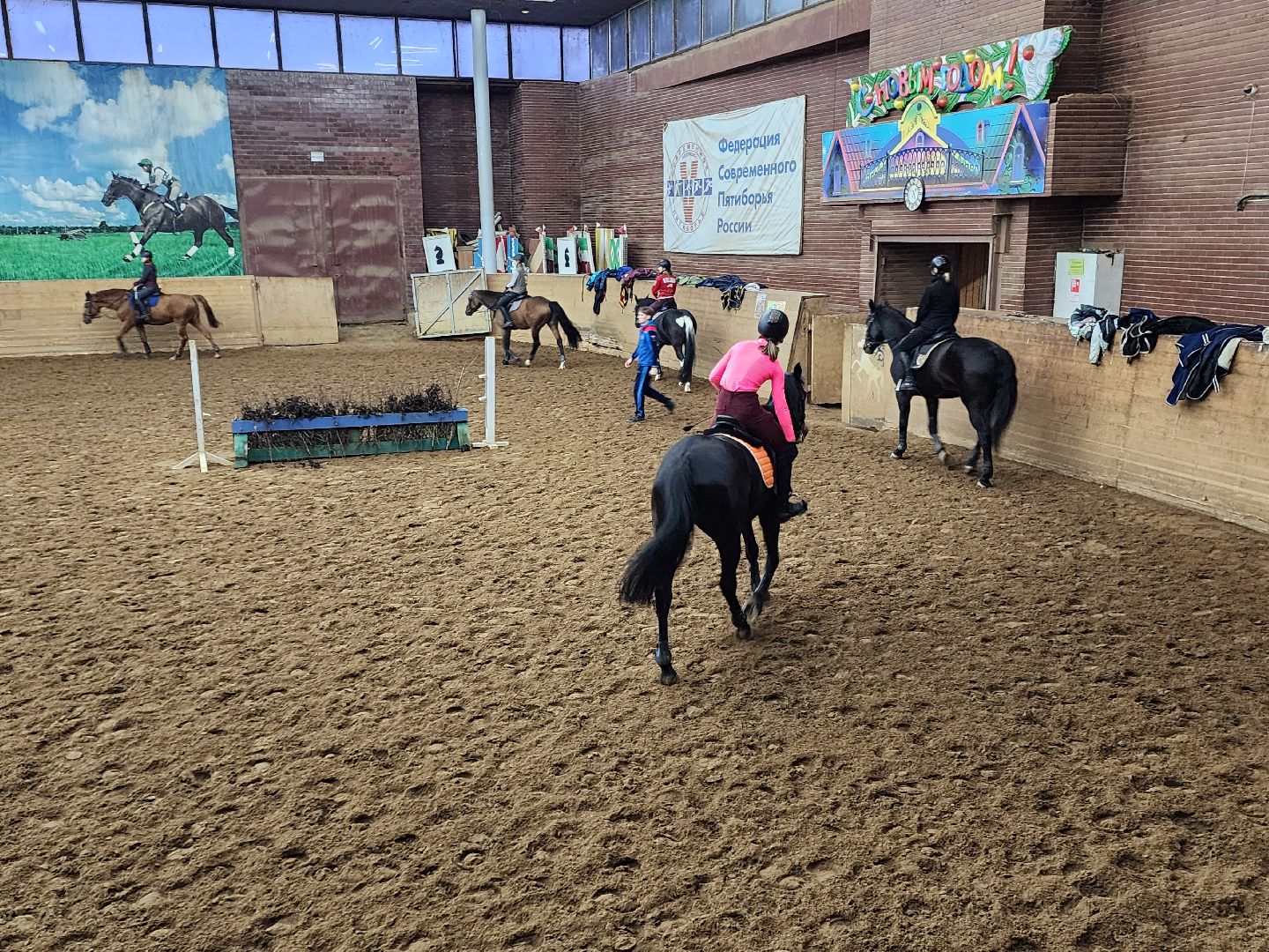 химки, конный спорт, вертикалка, животные,