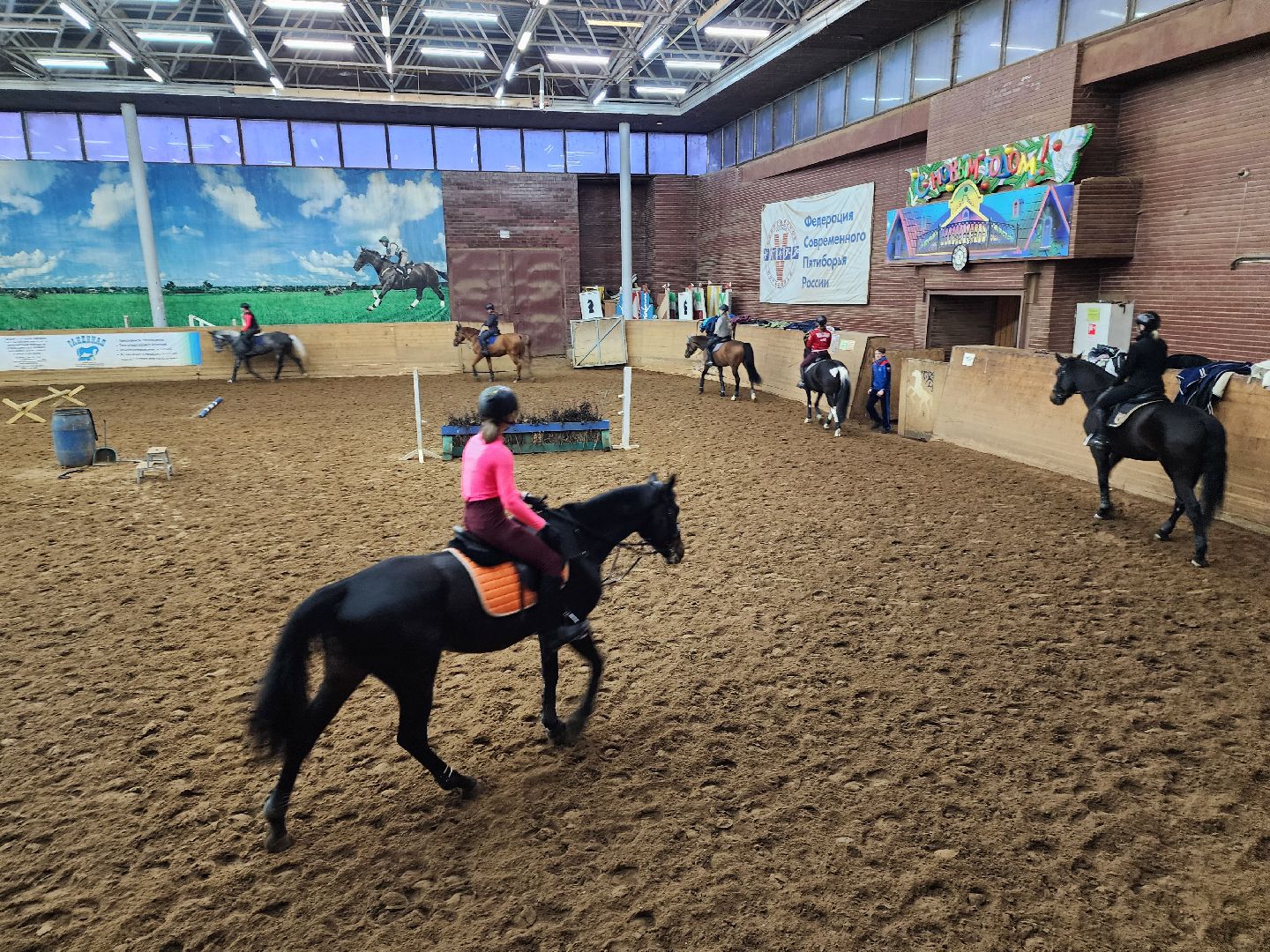 химки, конный спорт, вертикалка, животные,