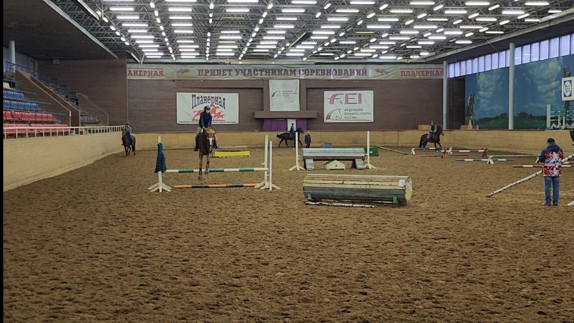 химки, конный спорт, вертикалка, животные,