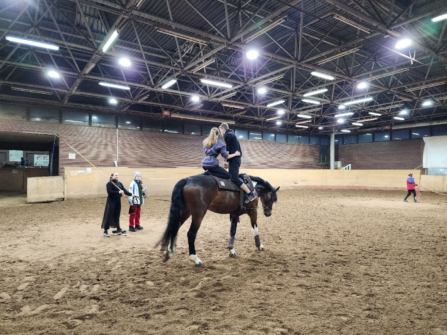 химки, конный спорт, вертикалка, животные,