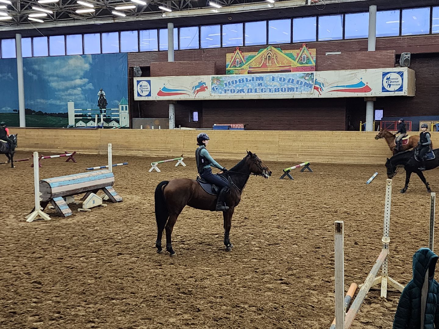 химки, конный спорт, вертикалка, животные,