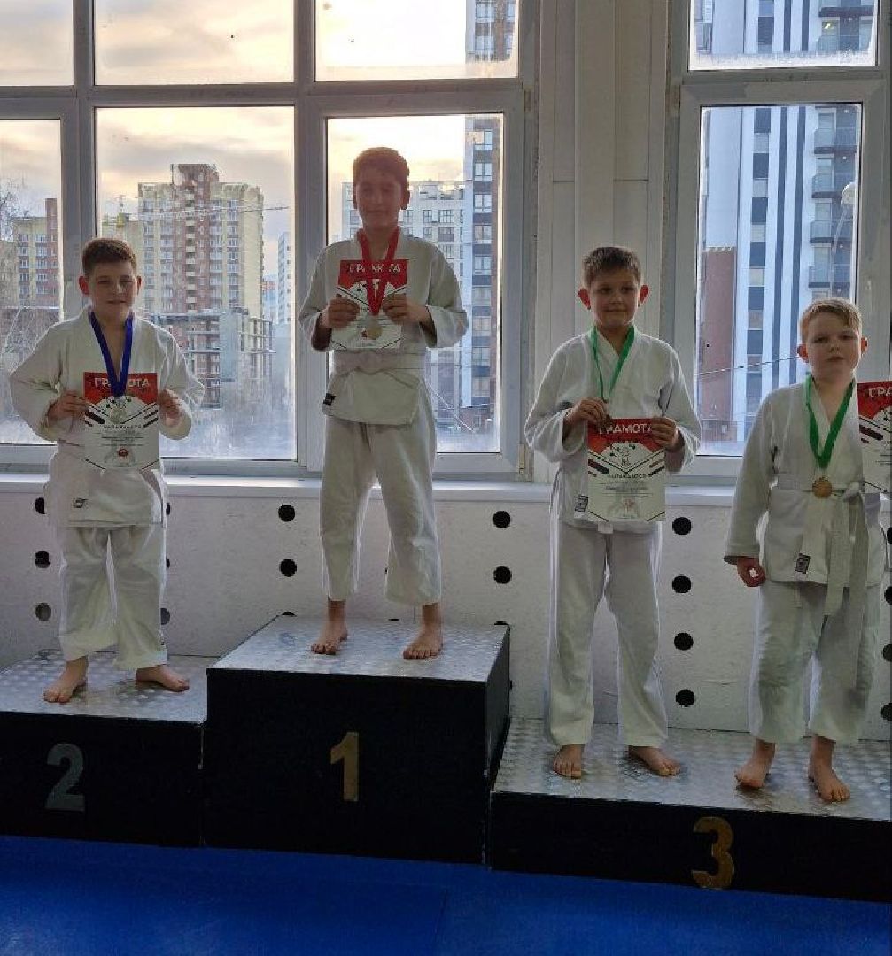 спорт, ивантеевка, спортивный клуб, дзюдо, спортивные вершины,