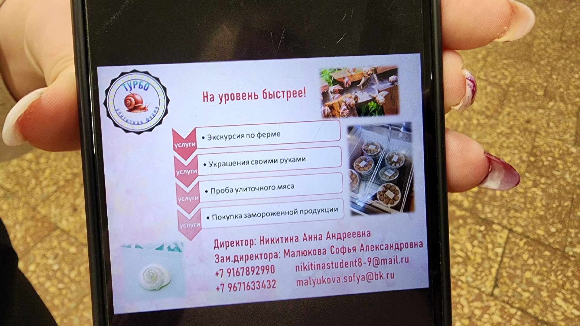 вертикалки, Бронницы, Автомобильно-дорожный колледж,Конкурс бизнес-проектов,