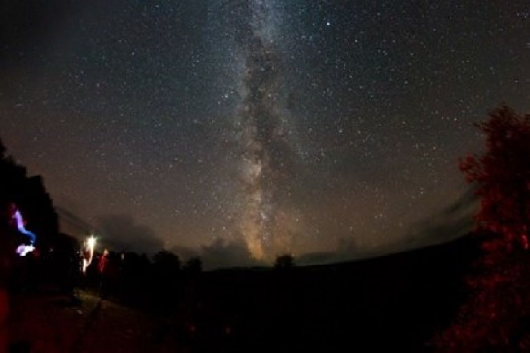 Жуковский, общество