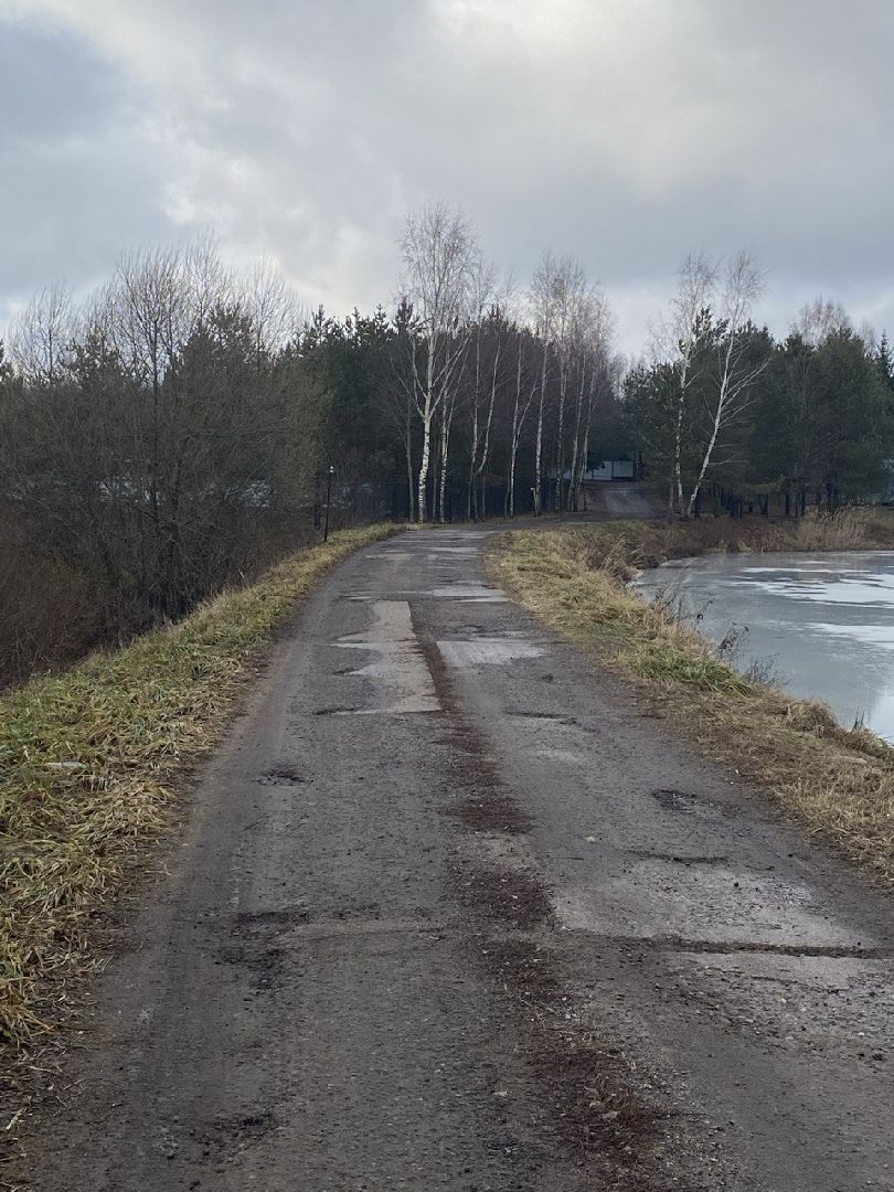 Чехов, село Шарапово, выездная администрация, деревня Дулово, подъездная дорога, центральная улица, дорожный ремонт, ямочный ремонт, глава округа михаил собакин, встреча с жителями, обращения жителей,