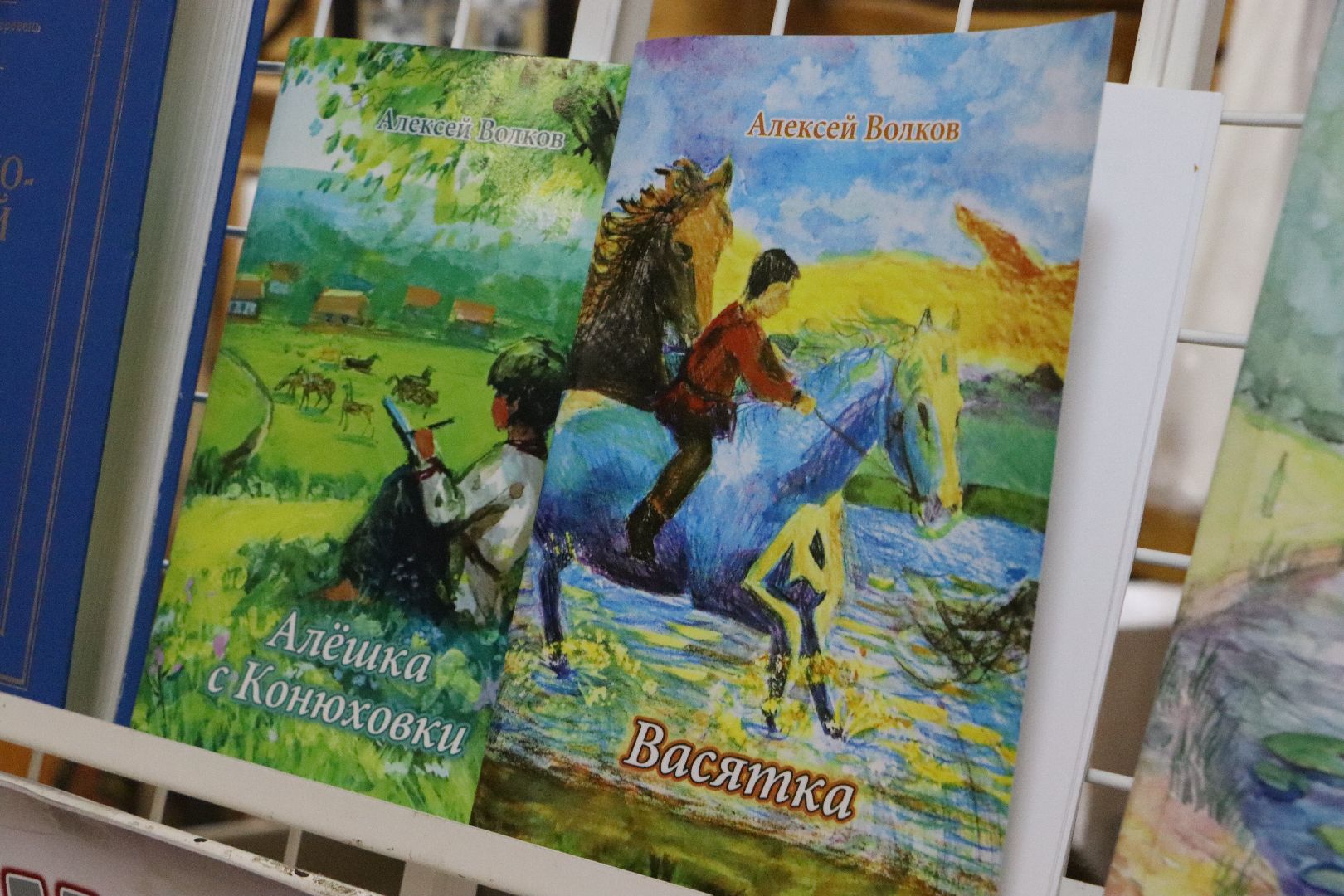 краевед алексей волков, серебряные пруды, центральная библиотека серебряных прудов, презентация книги, васятка, маршал чуйков, детство героя, вертикалка,