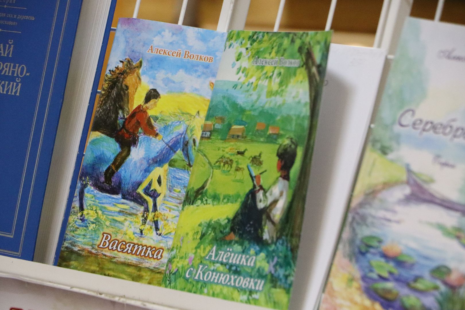 краевед алексей волков, серебряные пруды, центральная библиотека серебряных прудов, презентация книги, васятка, маршал чуйков, детство героя, вертикалка,