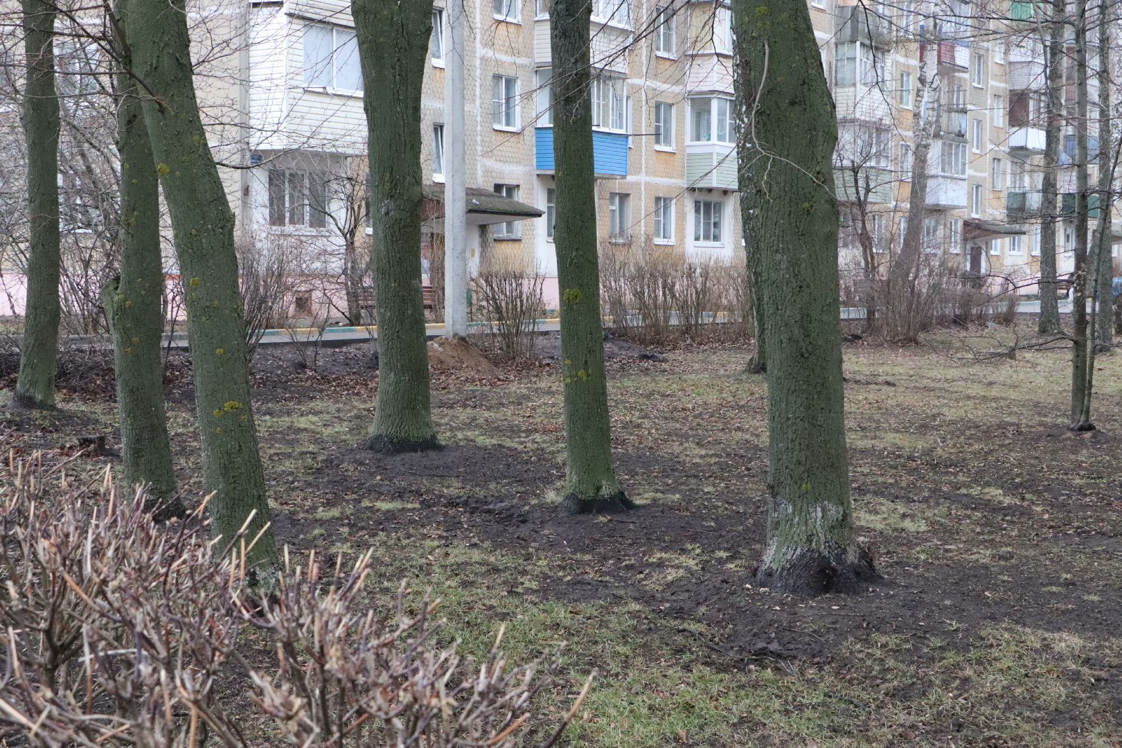 серебряные пруды, январский субботник, благоустройство, уборка территории, вертикалка,