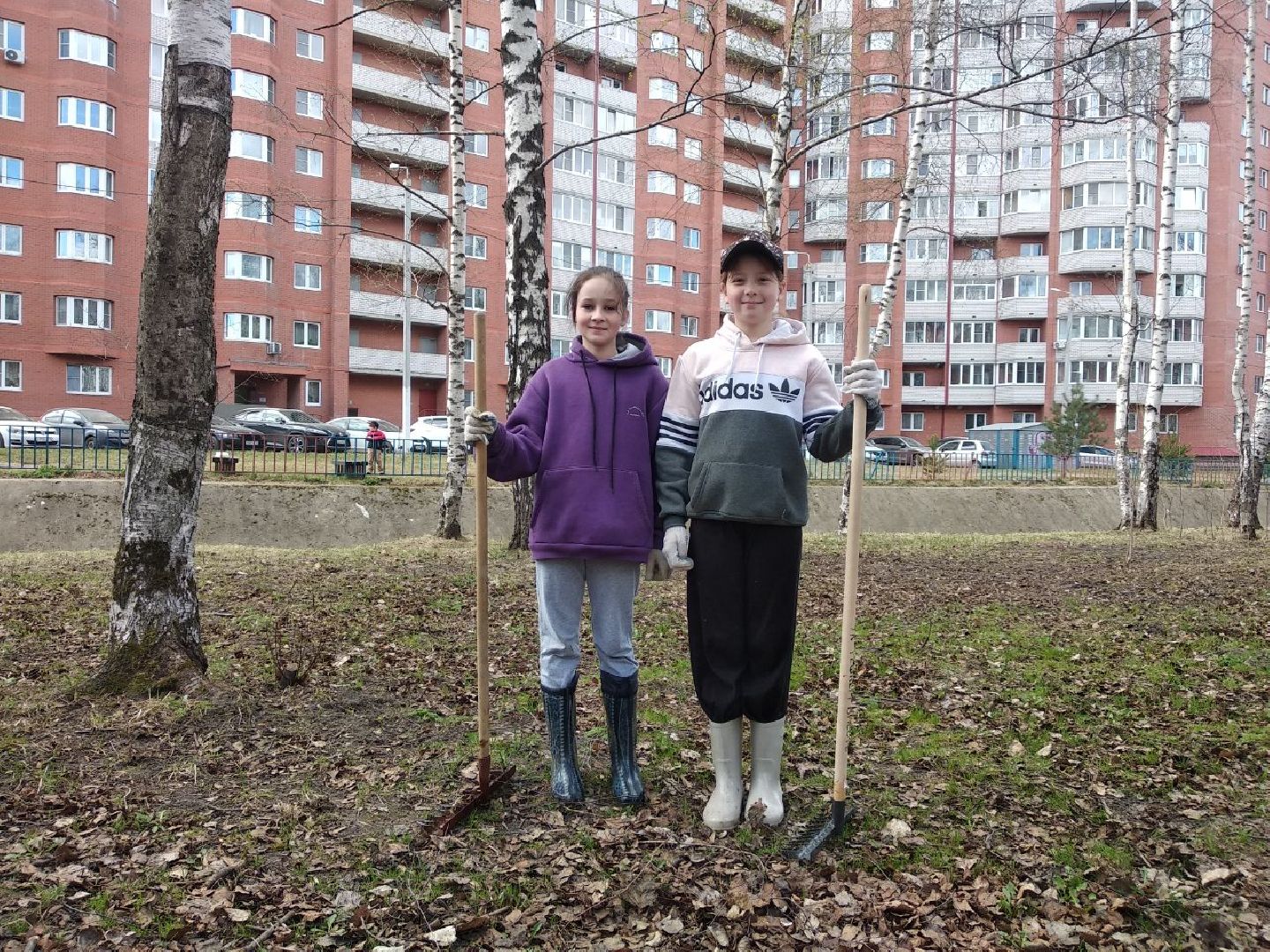 Дмитров, Благоустройство