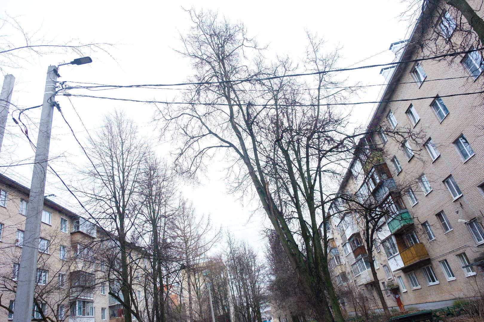 лыткарино, выездная администрация, выездная администрация лыткарино,