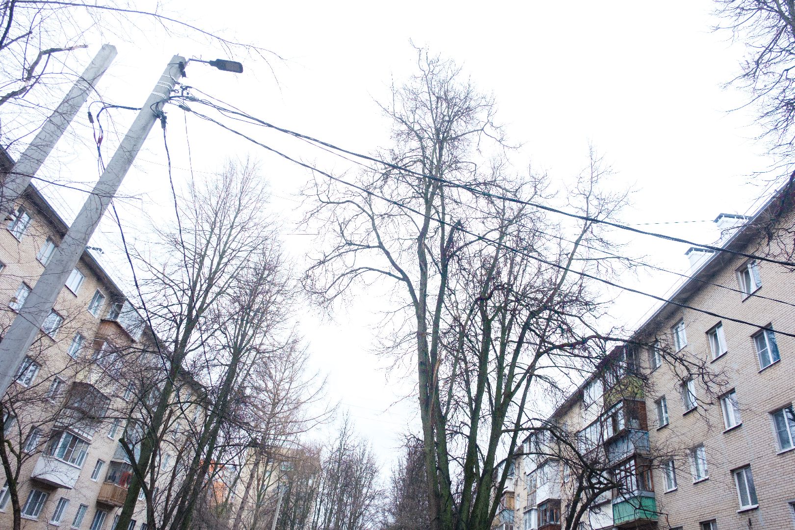 лыткарино, выездная администрация, выездная администрация лыткарино,