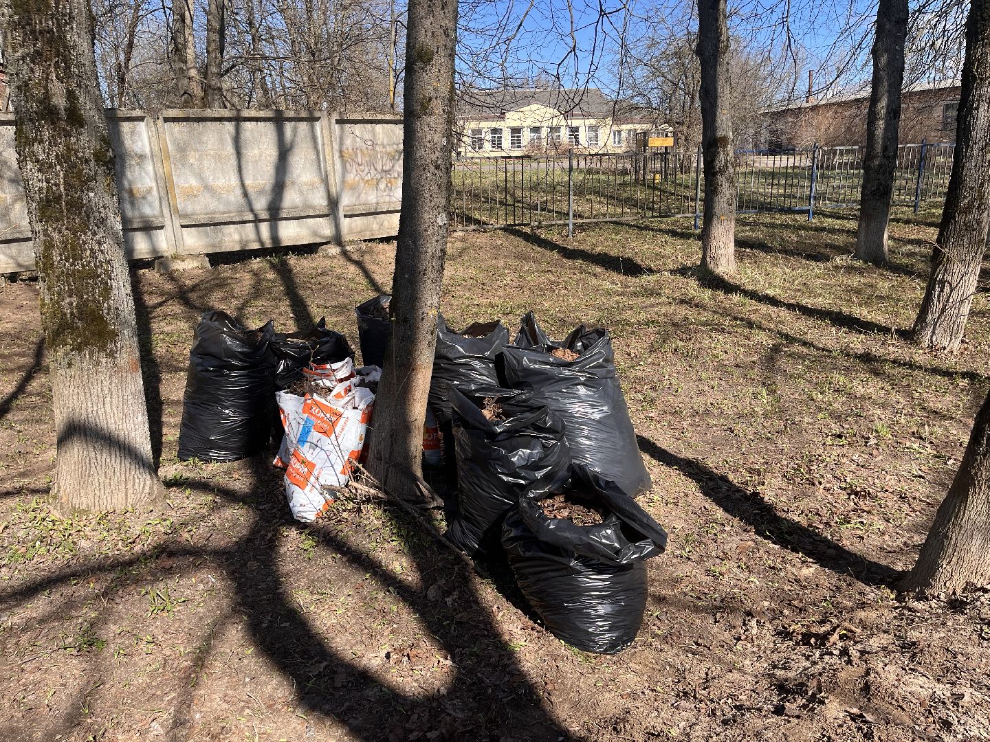 Шаховская, субботник, уборка листьев