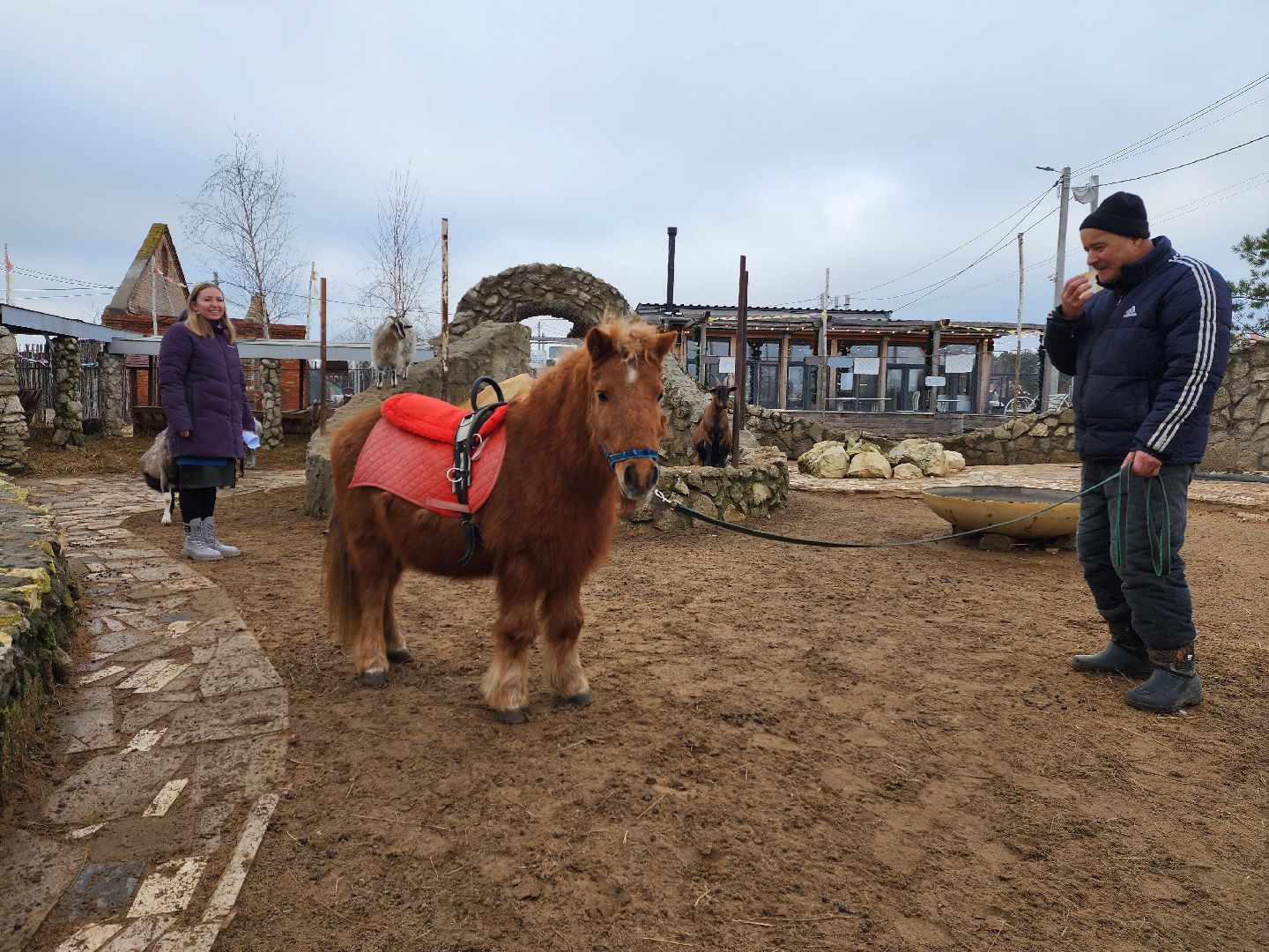 раменское, туризм, ферма 56, пони, вертикалка,