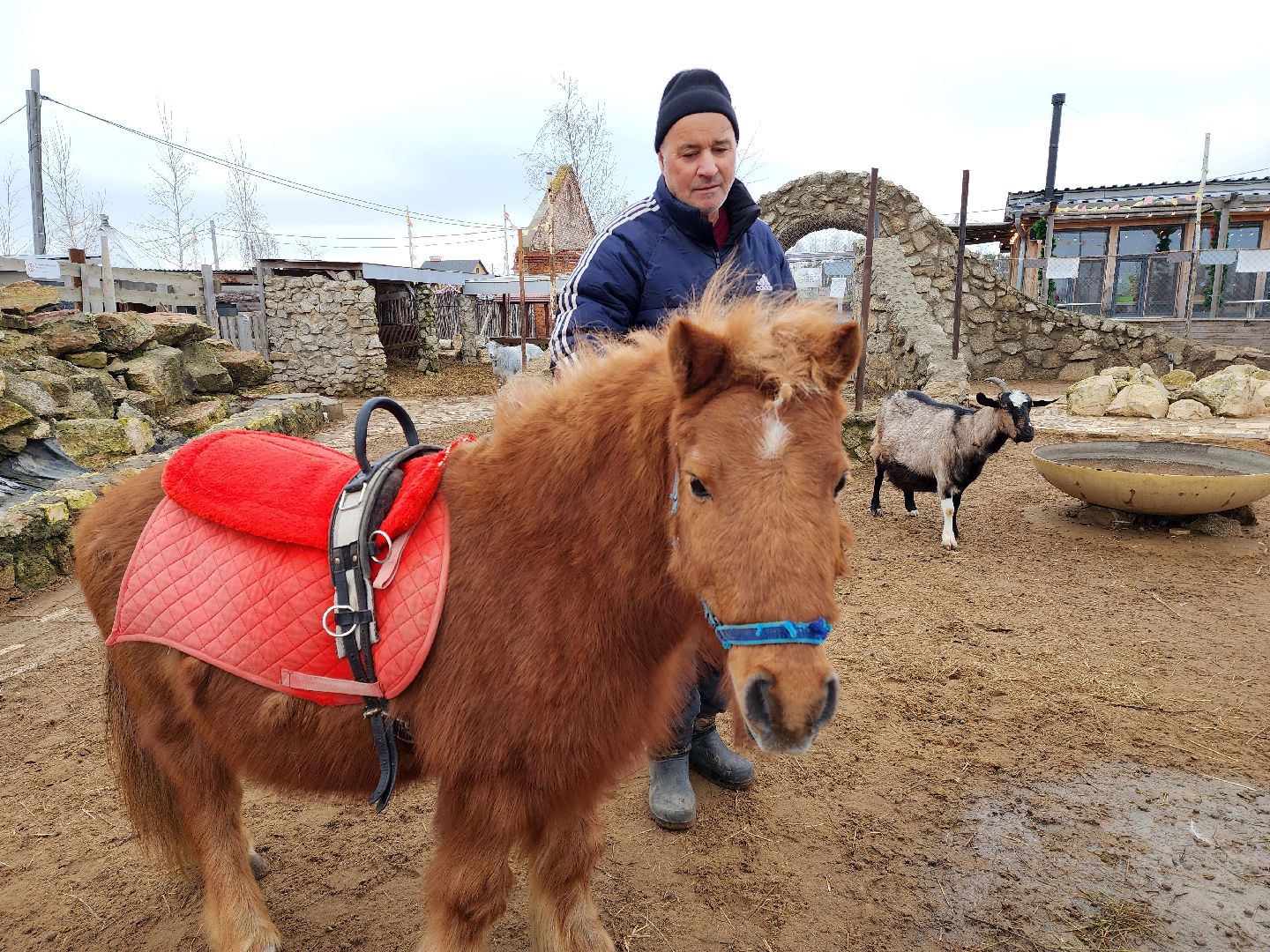 раменское, туризм, ферма 56, пони, вертикалка,