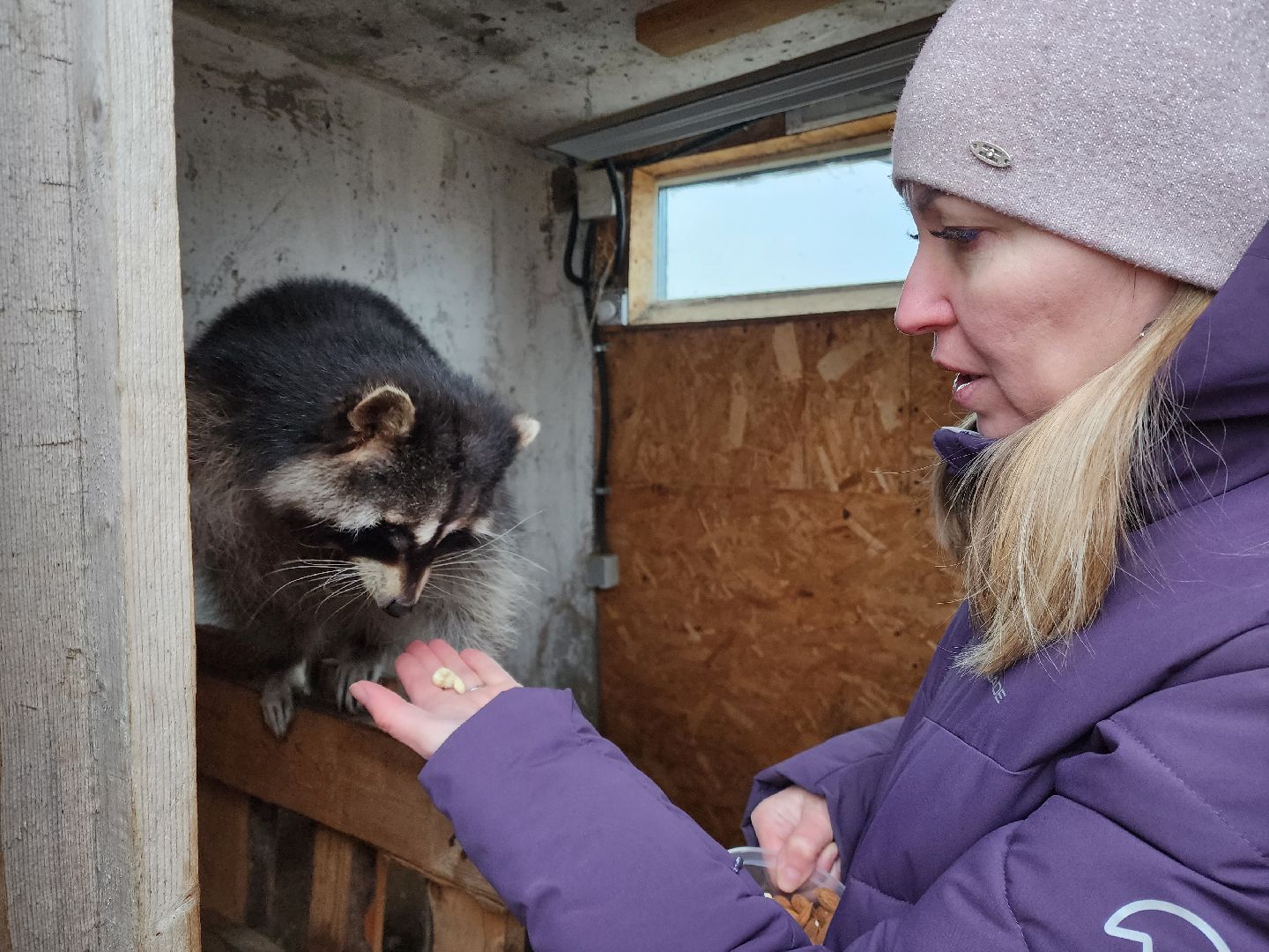 раменское, туризм, ферма 56, пони, вертикалка,