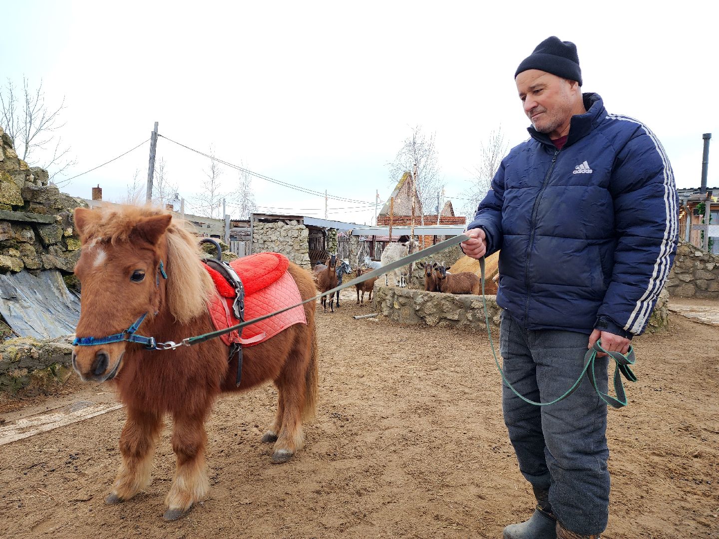 раменское, туризм, ферма 56, пони, вертикалка,