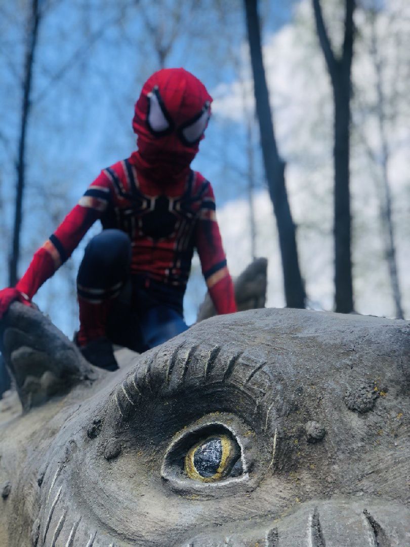 Серпухов, Подмосковье, субботник, уборка, супергерой