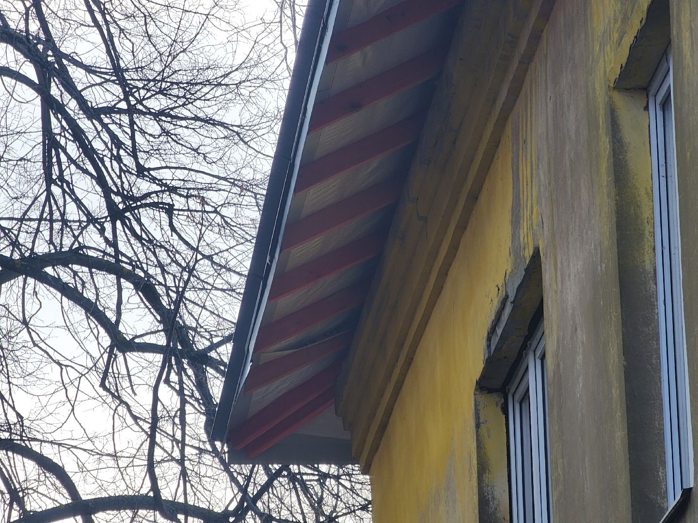 вертикалки, Павловский Посад, Ремонт, Жители, Строительство,