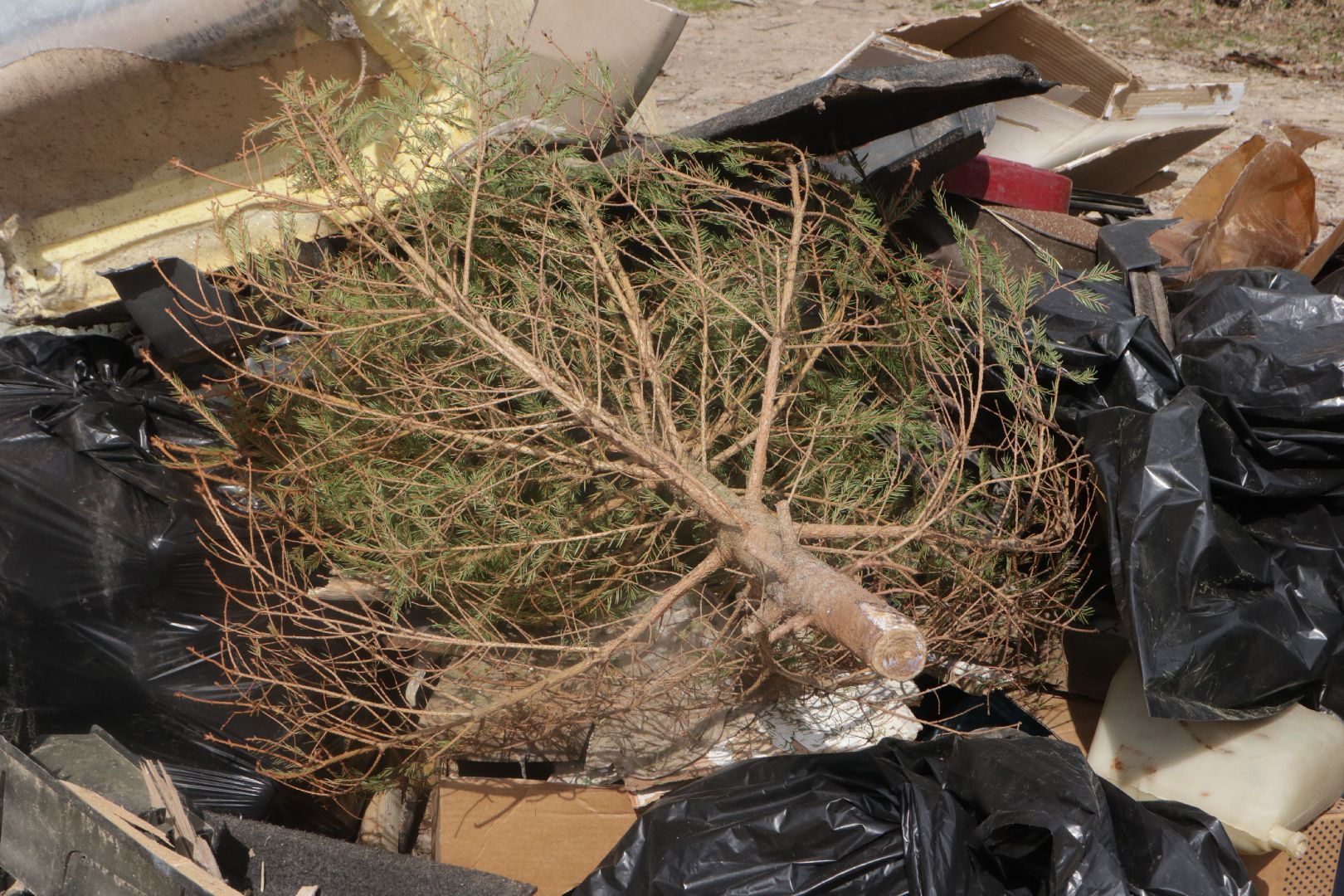 Пущино, субботник, уборка улиц