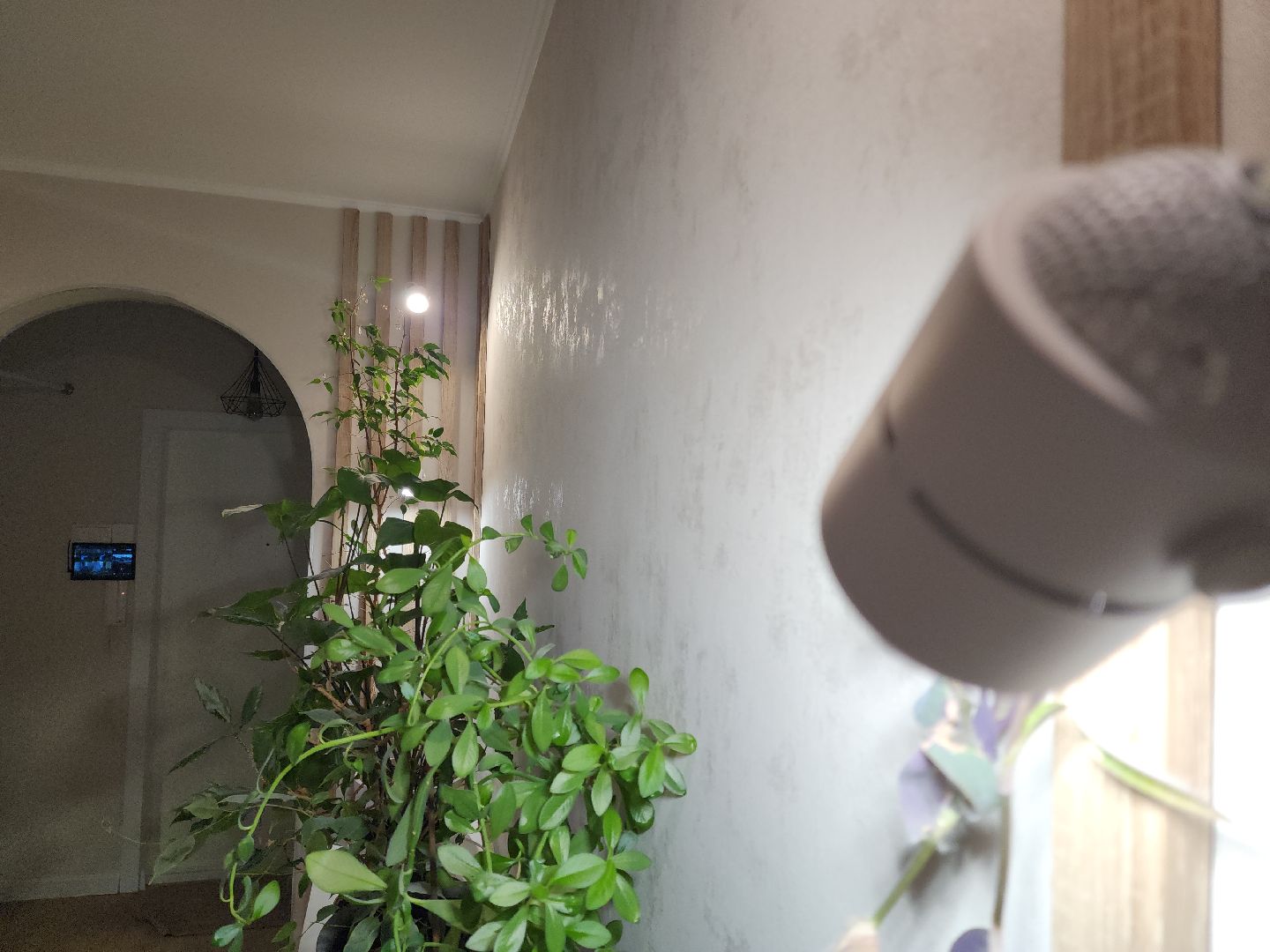 Подольск, Умный дом, Микроклимат, Увлажнитель воздуха, Комнатные цветы, вертикалки,