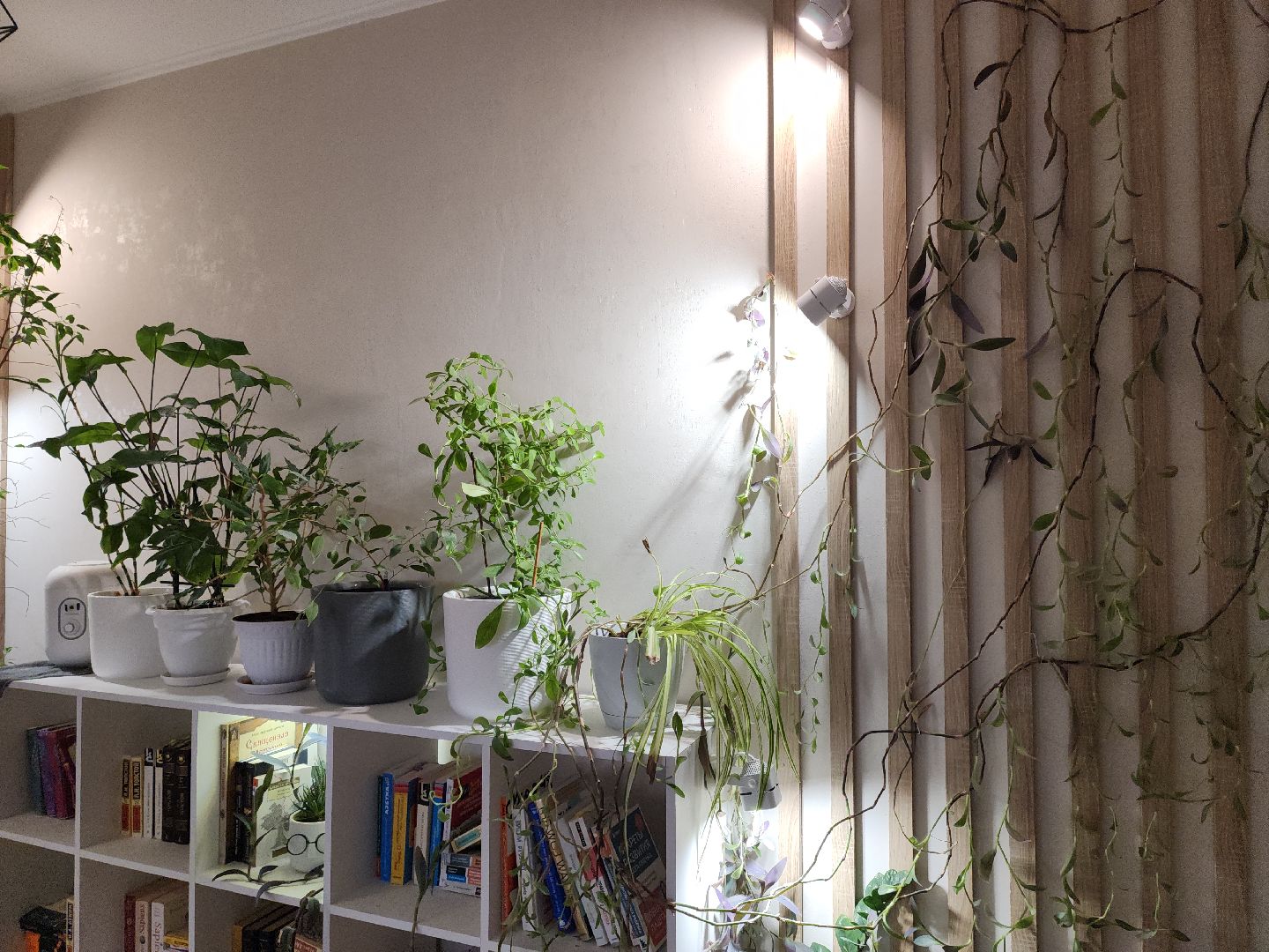 Подольск, Умный дом, Микроклимат, Увлажнитель воздуха, Комнатные цветы, вертикалки,