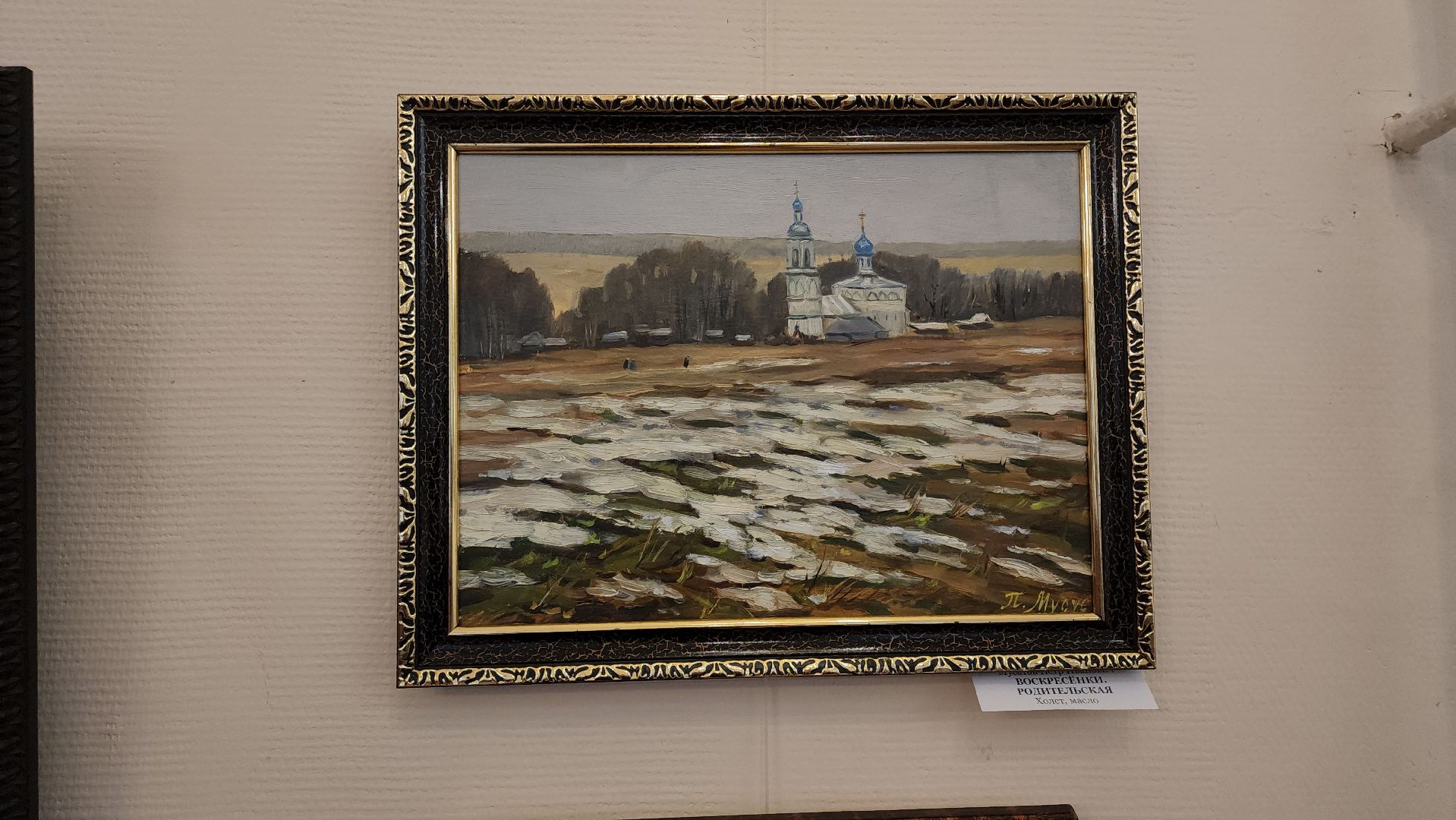 кашира, выставка картин, краеведческий музей, петр мусатов, пейзаж,