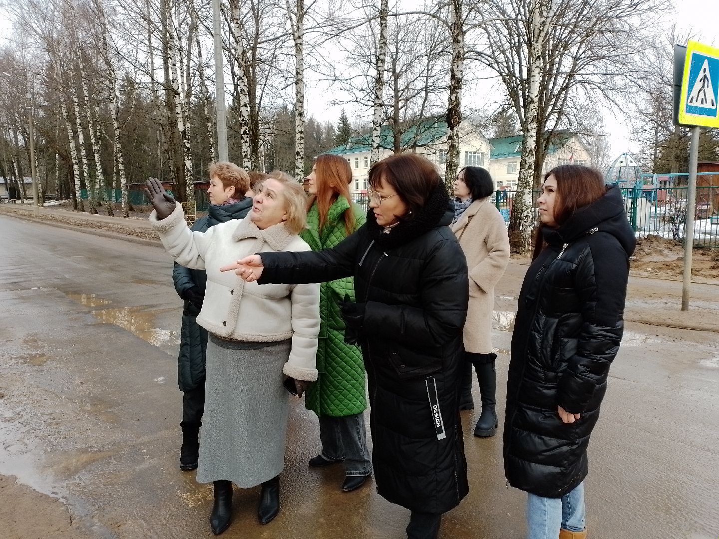городской округ восход, обход, территория, благоустойство, вертикалки,
