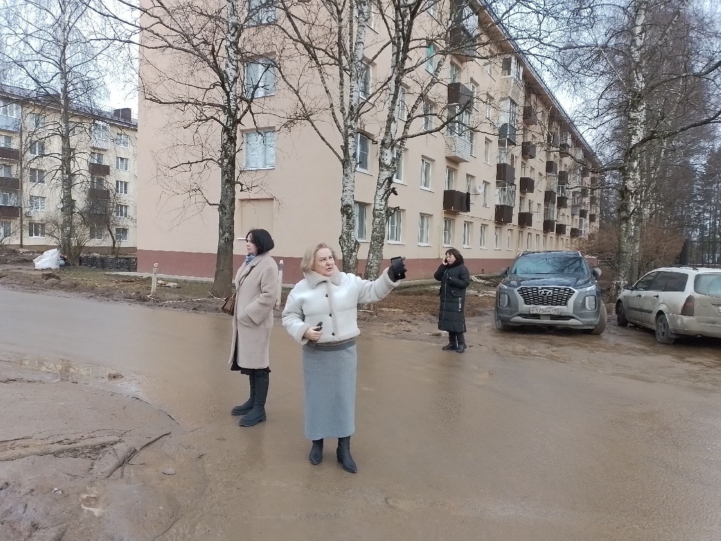 городской округ восход, обход, территория, благоустойство, вертикалки,