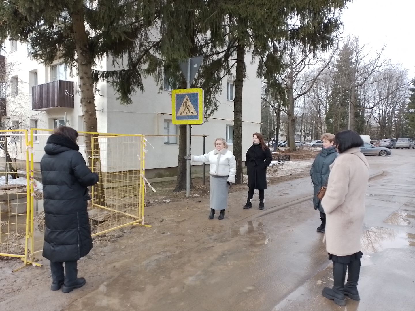 городской округ восход, обход, территория, благоустойство, вертикалки,