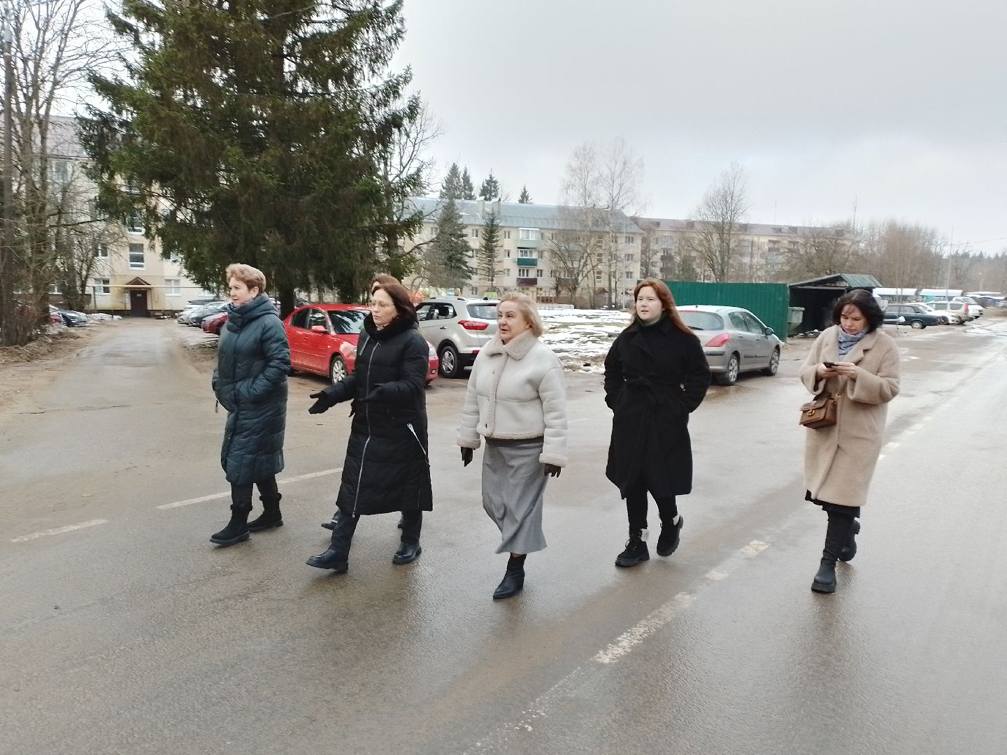 городской округ восход, обход, территория, благоустойство, вертикалки,