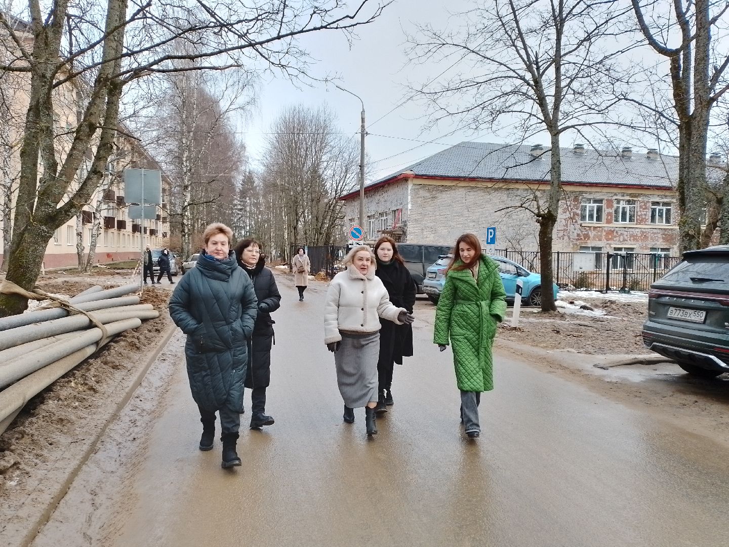 городской округ восход, обход, территория, благоустойство, вертикалки,