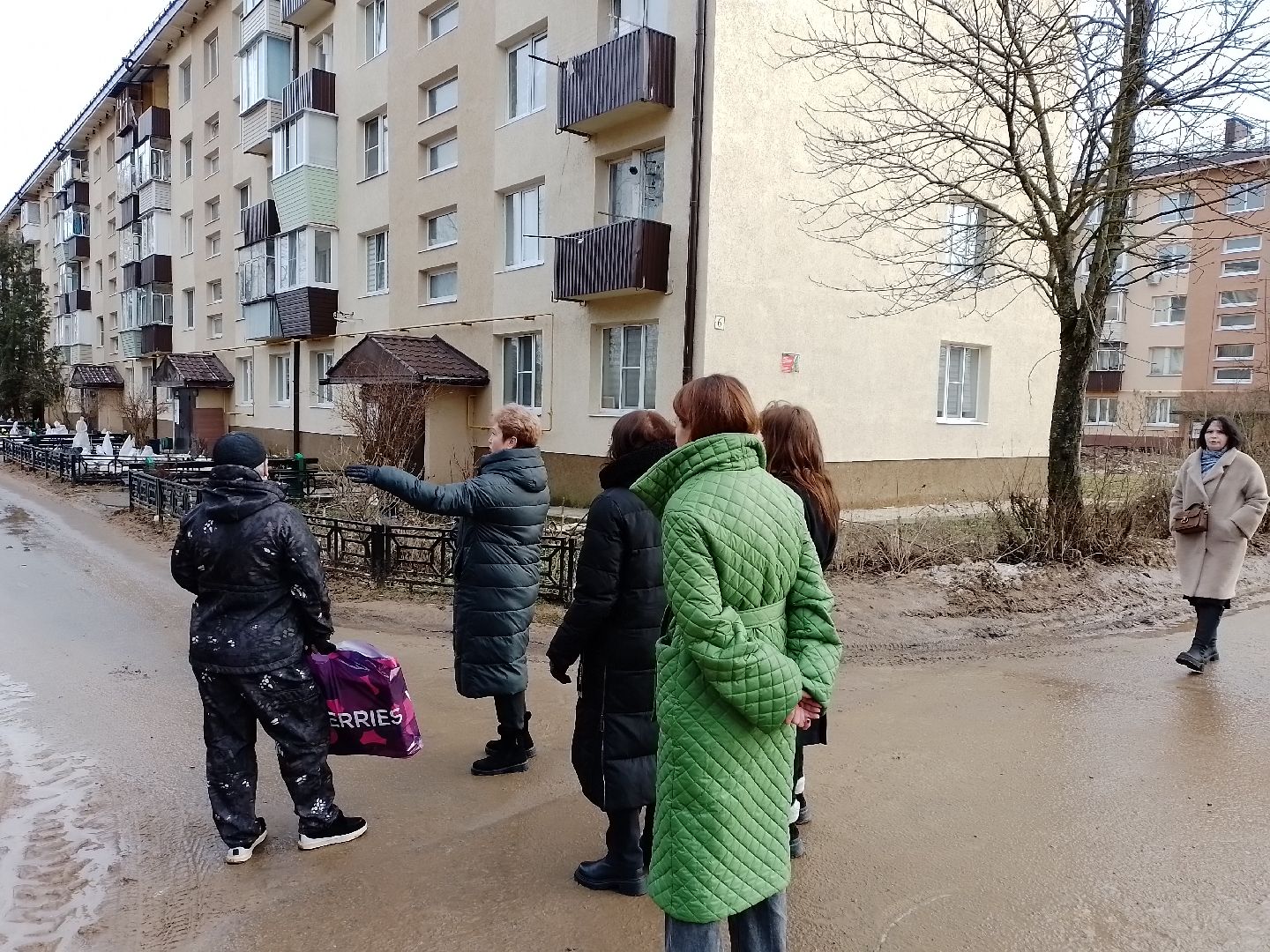 городской округ восход, обход, территория, благоустойство, вертикалки,