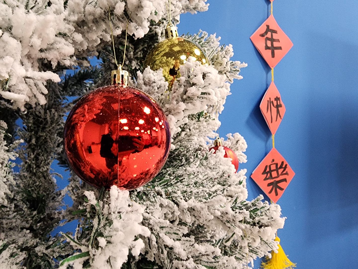 китайский новый год, мытищи, активное долголетие, вертикалки, праздник,